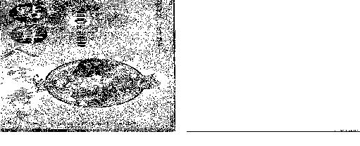 罗量_点算八字寿夭.pdf(15.15MB_161页)