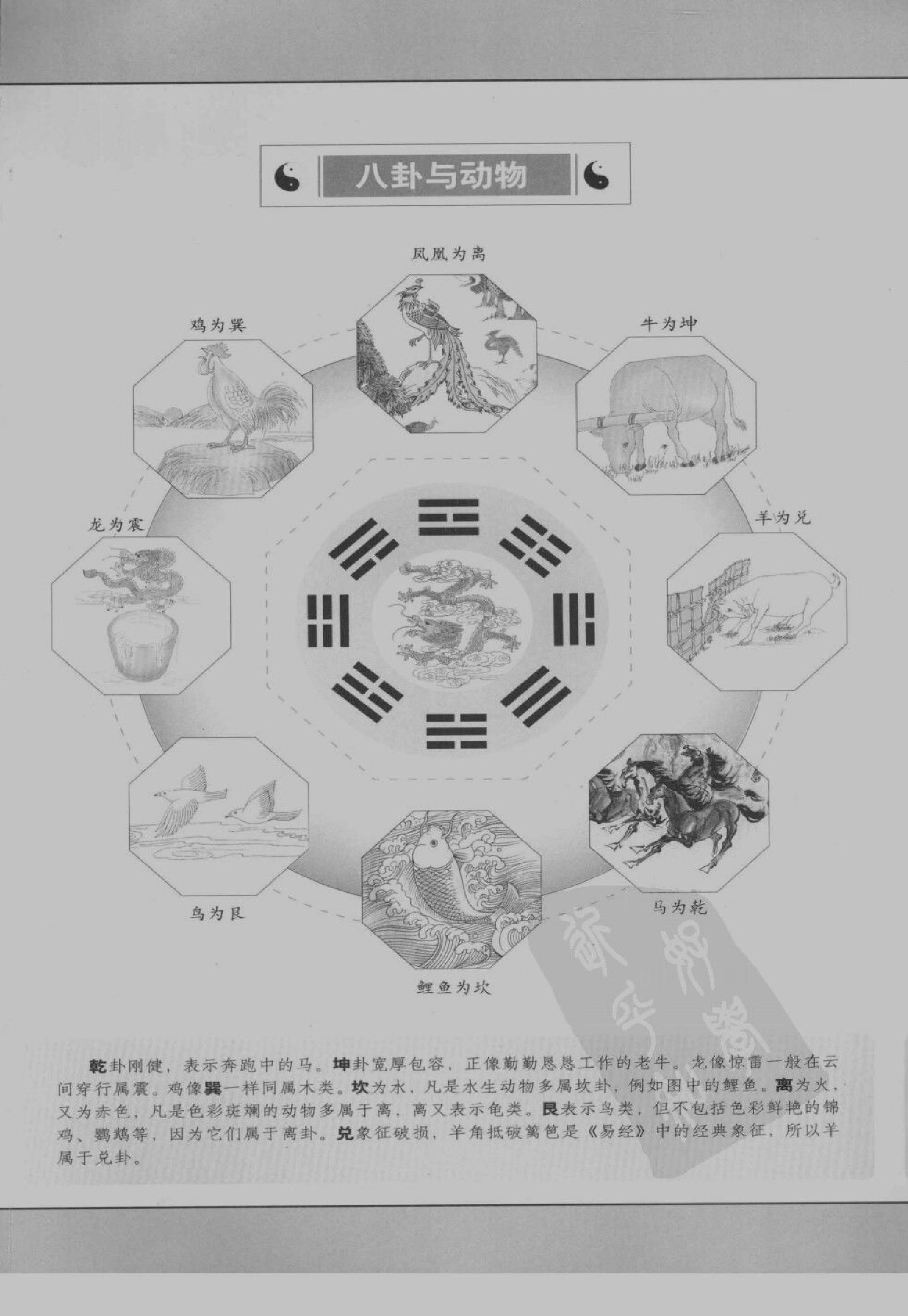 [图解梅花易数：破解天地玄秘的大智慧].汤行易.扫描版.pdf_第6页