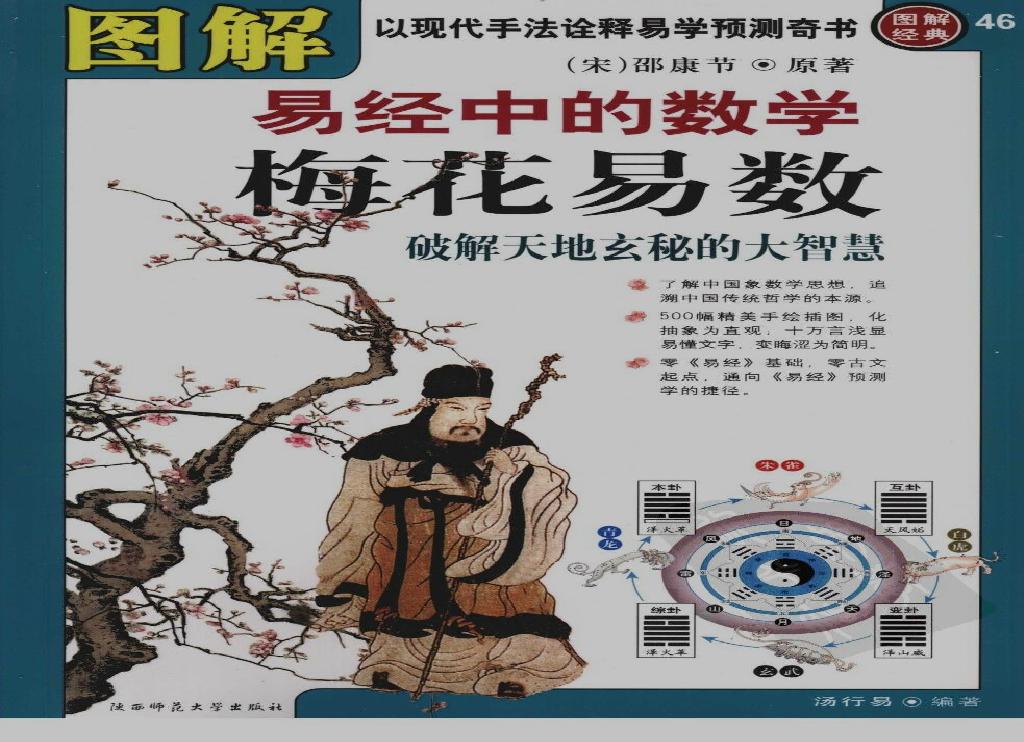 [图解梅花易数：破解天地玄秘的大智慧].汤行易.扫描版.pdf(42.99MB_321页)