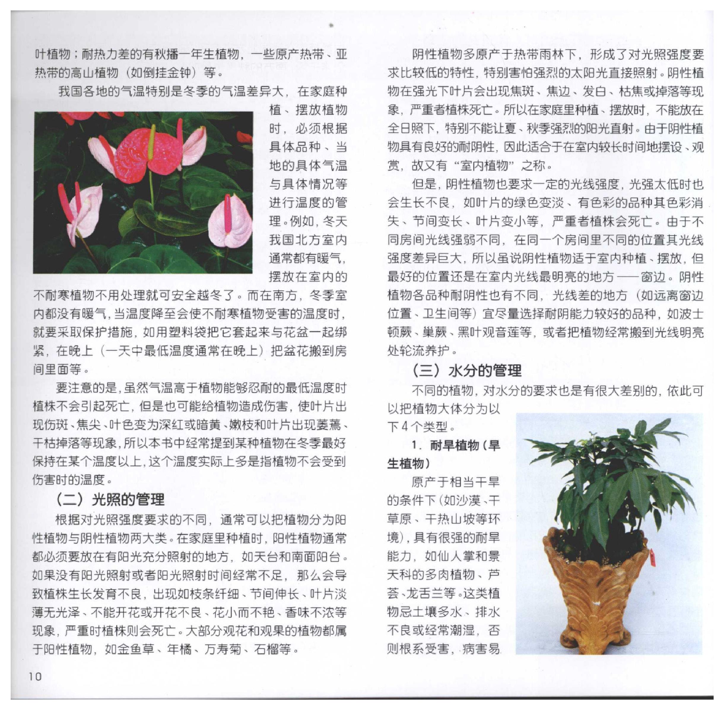 [家居风水植物].pdf_第10页