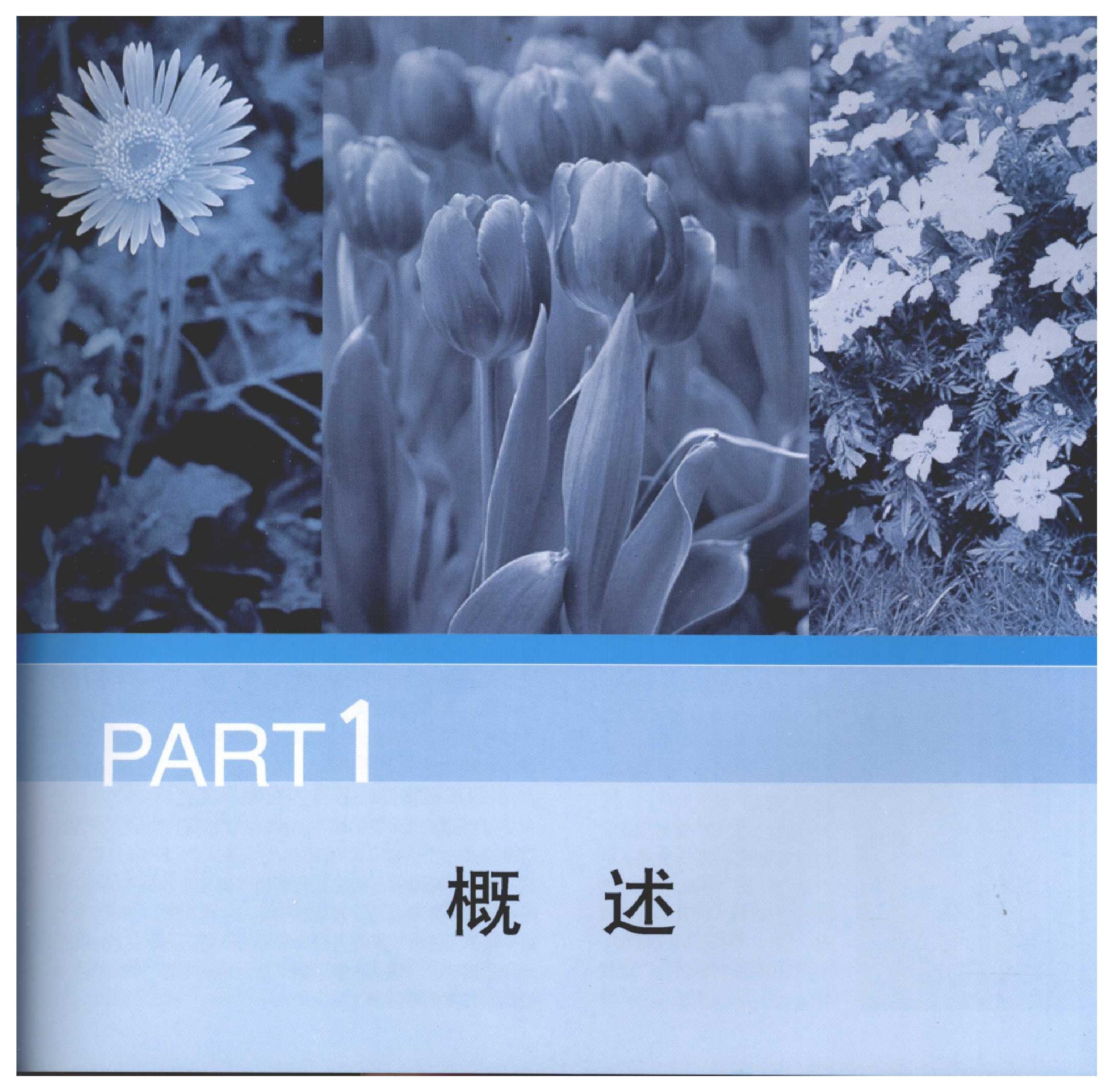 [家居风水植物].pdf_第7页