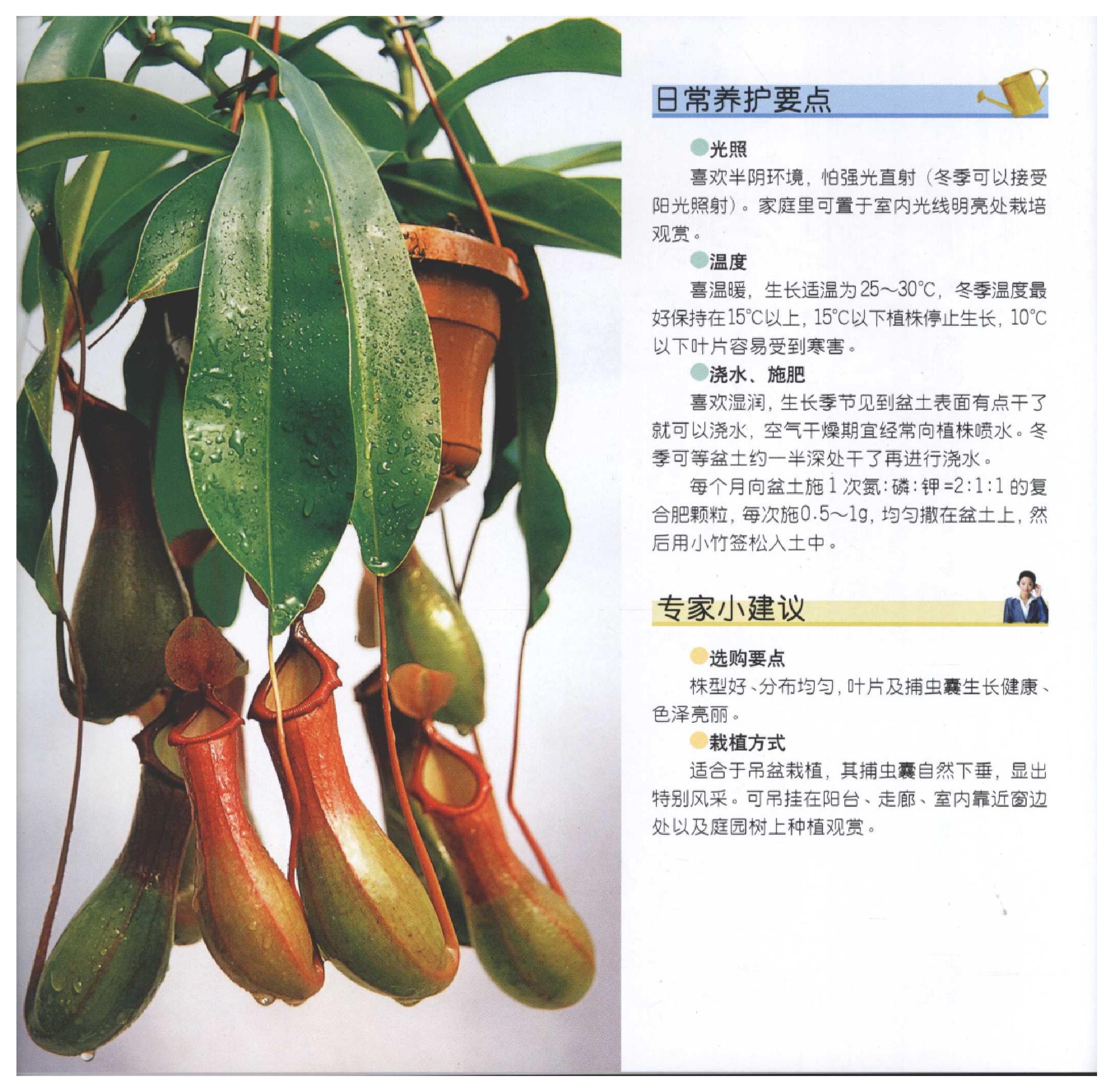 [家居风水植物].pdf_第14页