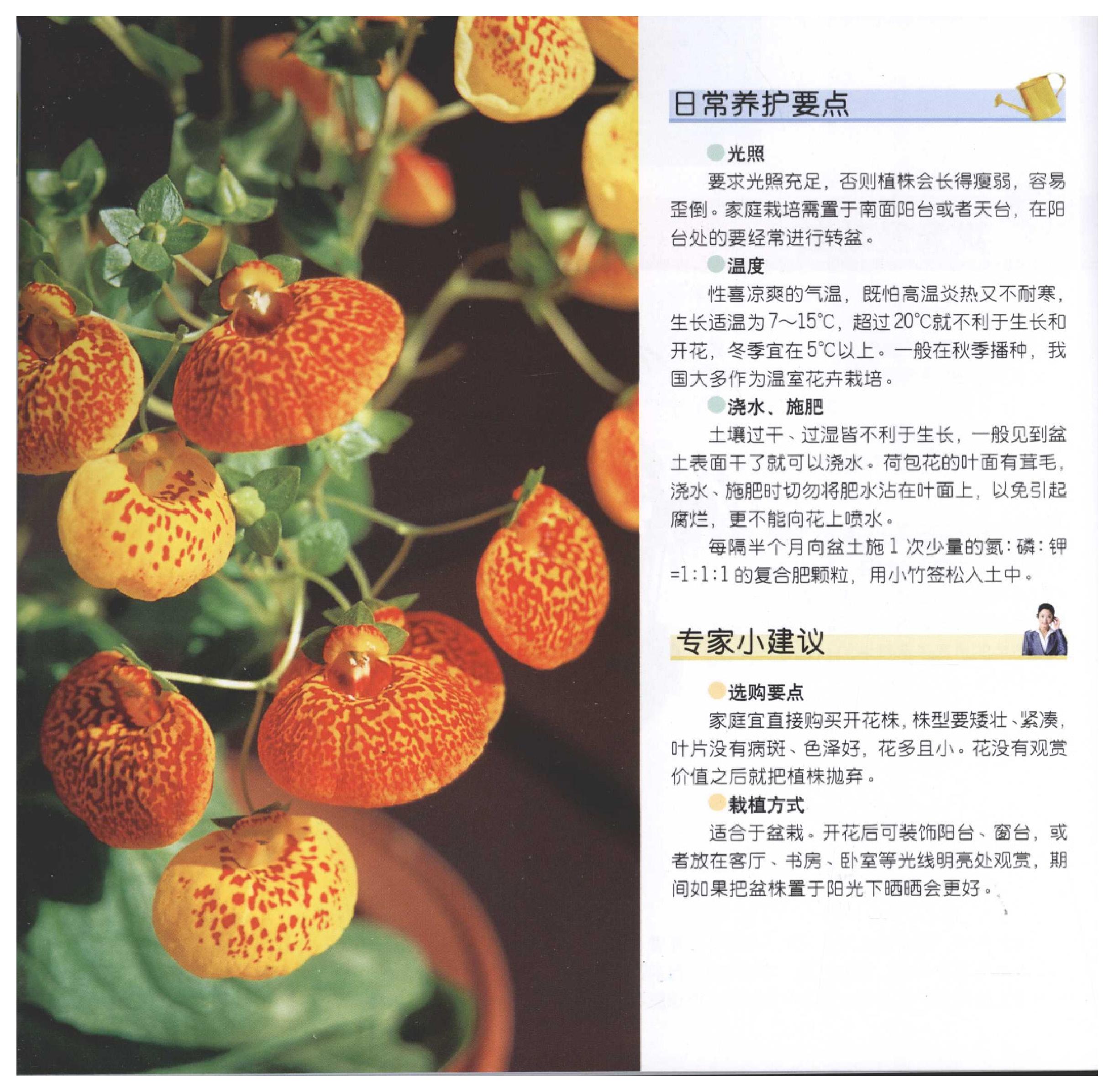 [家居风水植物].pdf_第18页