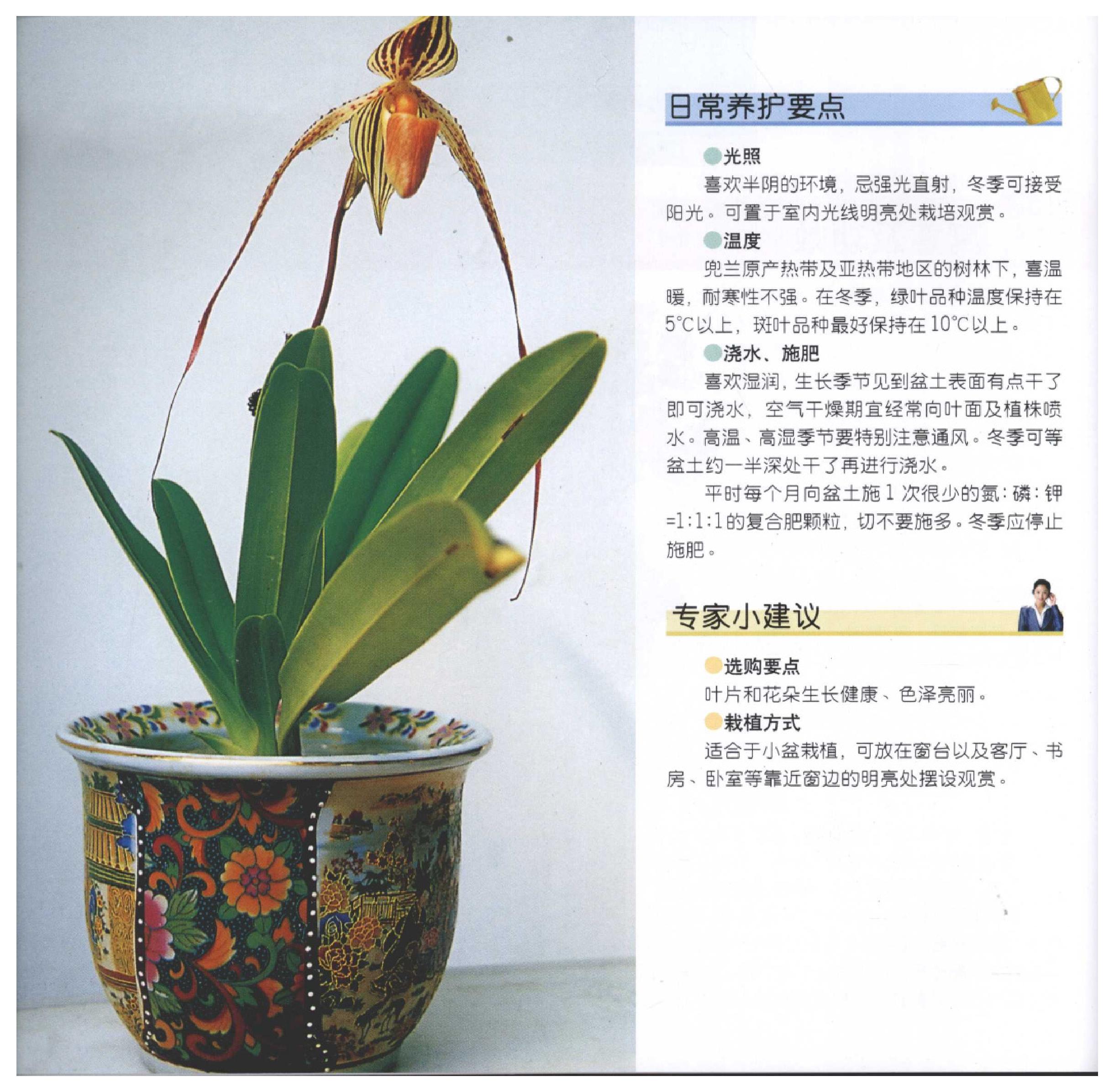 [家居风水植物].pdf_第20页