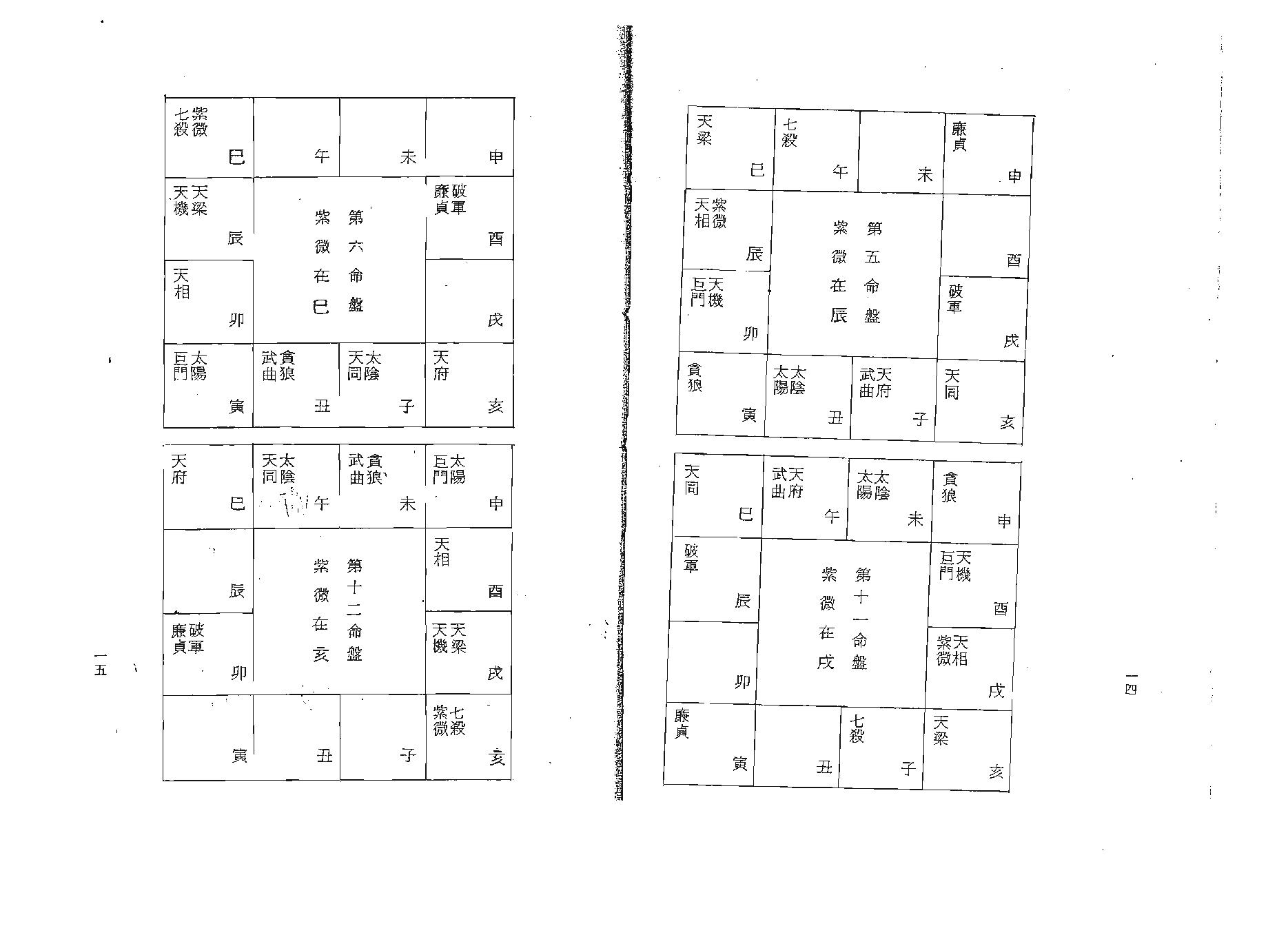 吴情-紫微斗数精解速成.pdf_第15页