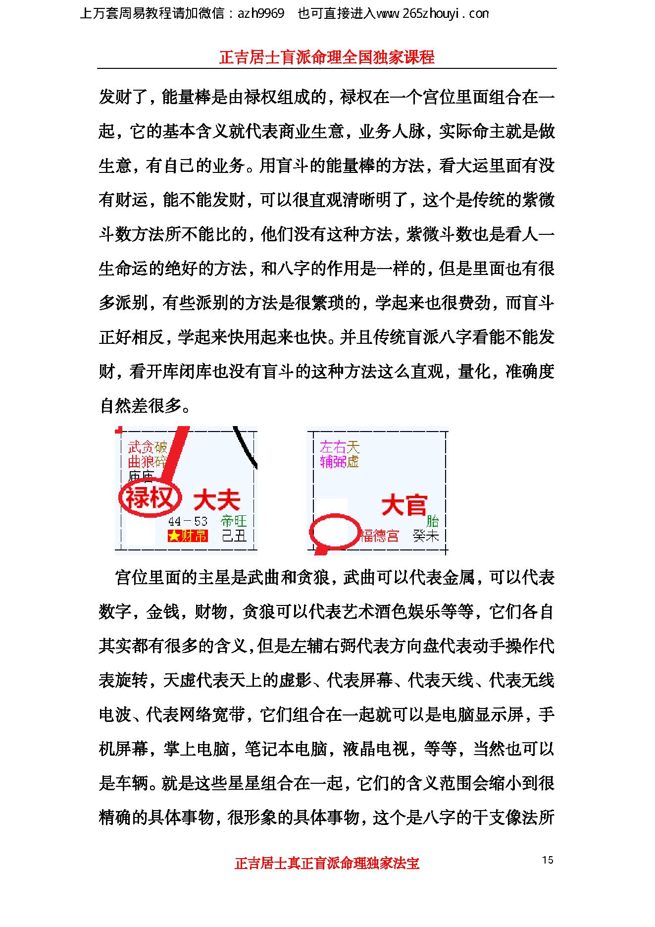 盲派绝密超越八字的秘招,239页.pdf_第15页