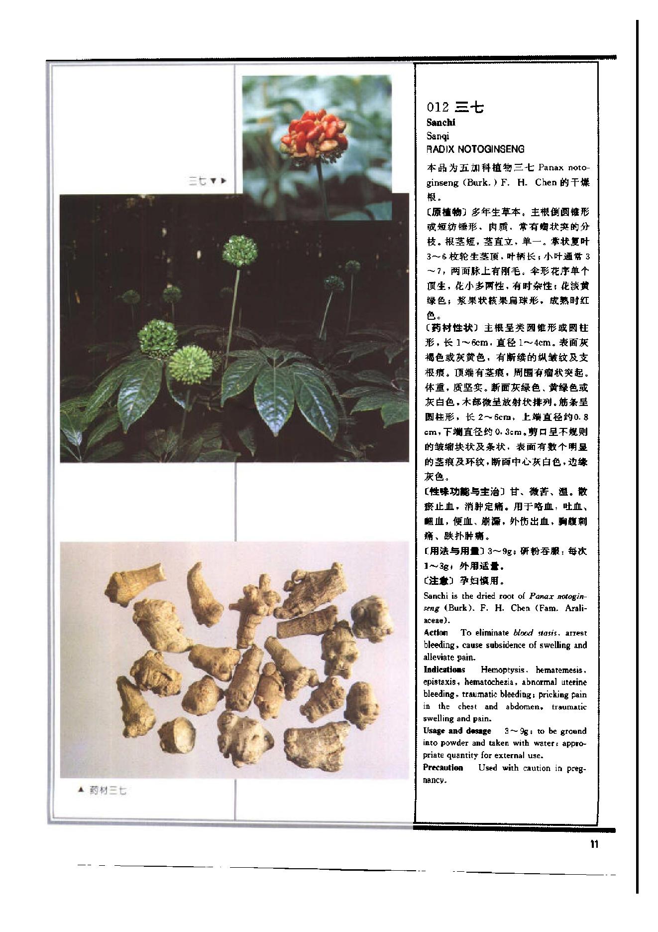 中医古籍-1995年中药典彩色图谱.pdf_第16页