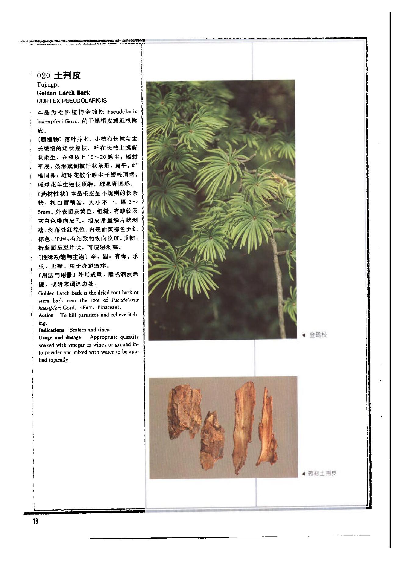 中医古籍-1995年中药典彩色图谱.pdf_第23页