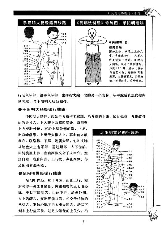 中医古籍-[图解针灸大全].谭小春.扫描版[ED2000.COM].pdf_第17页