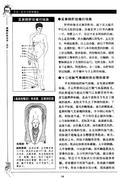 中医古籍-[图解针灸大全].谭小春.扫描版[ED2000.COM].pdf_第24页