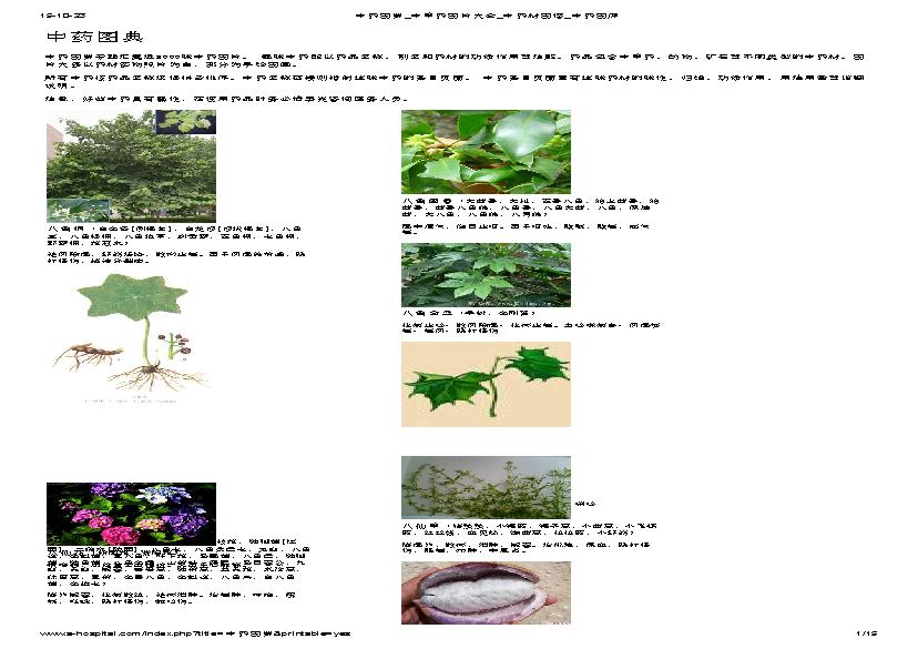 中医古籍-中草药图片大全.pdf(10.44MB_15页)