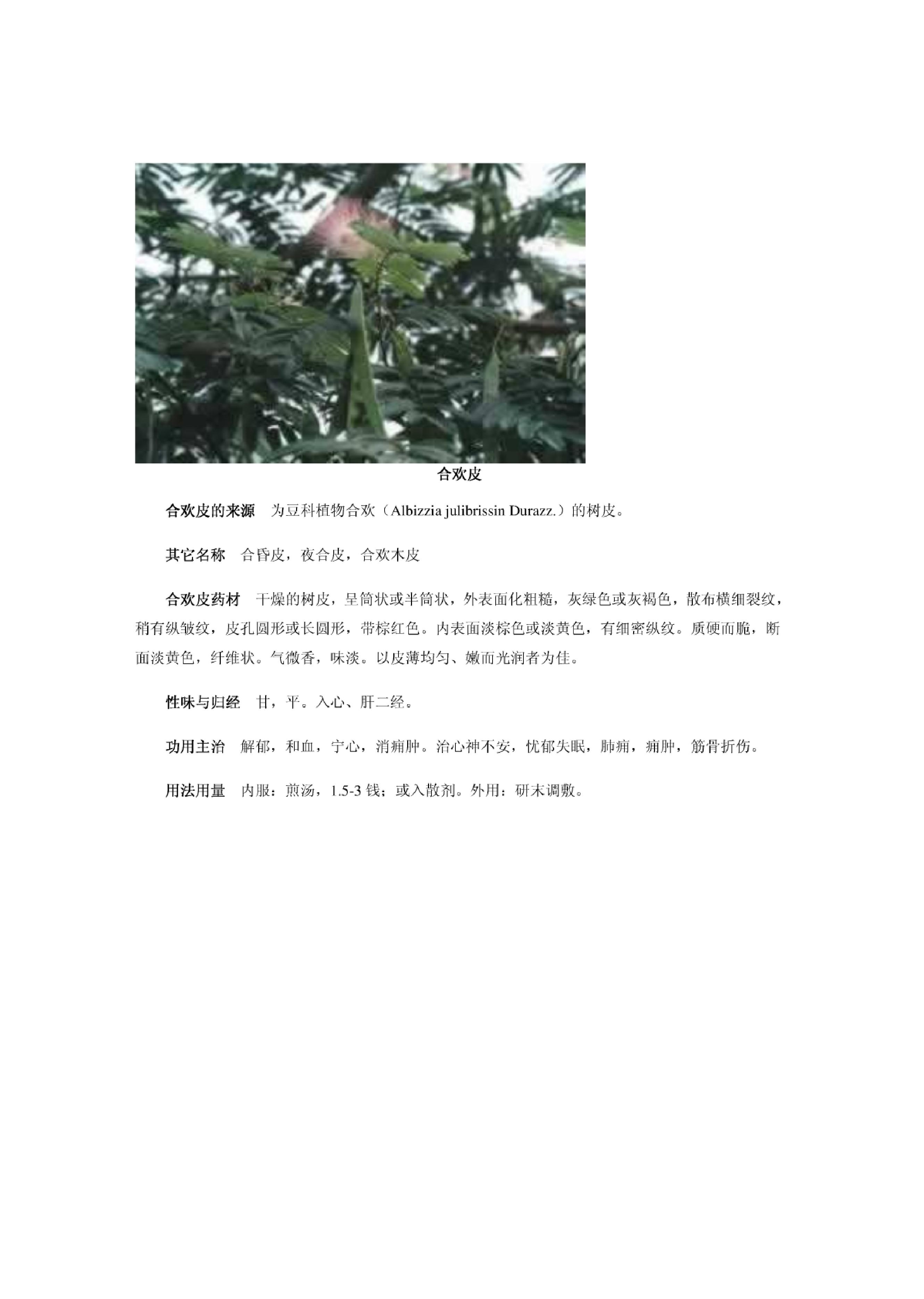 中医古籍-中草药图谱大全.pdf_第12页