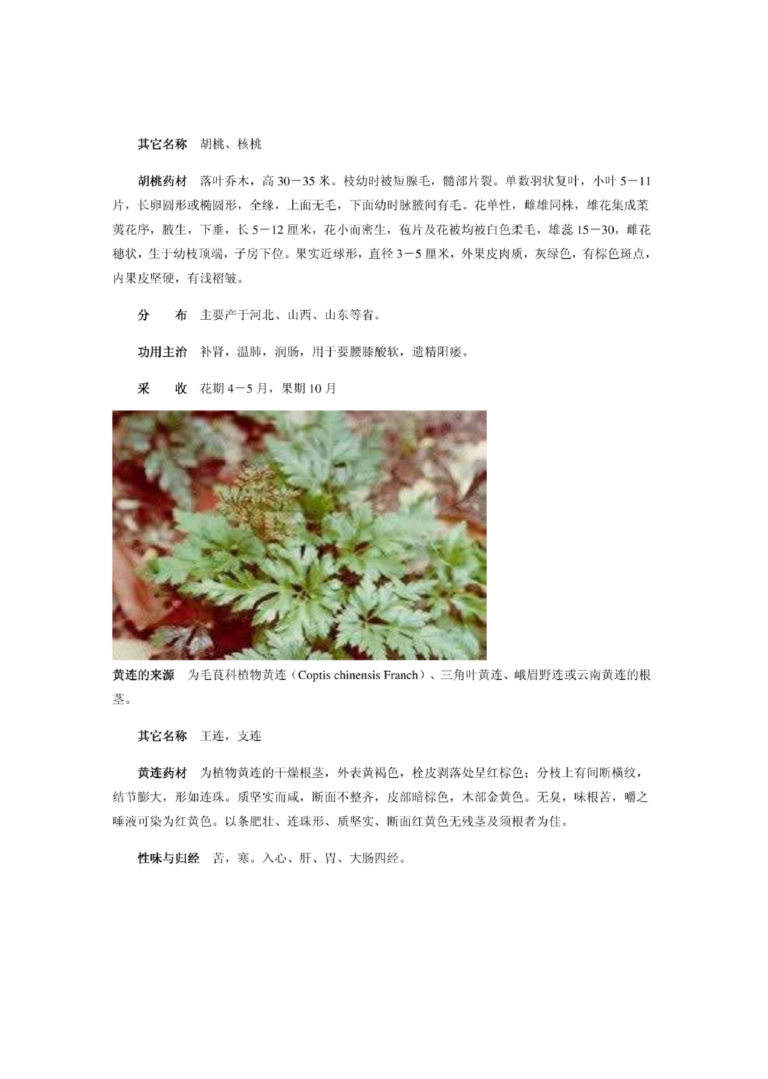 中医古籍-中草药图谱大全.pdf_第16页