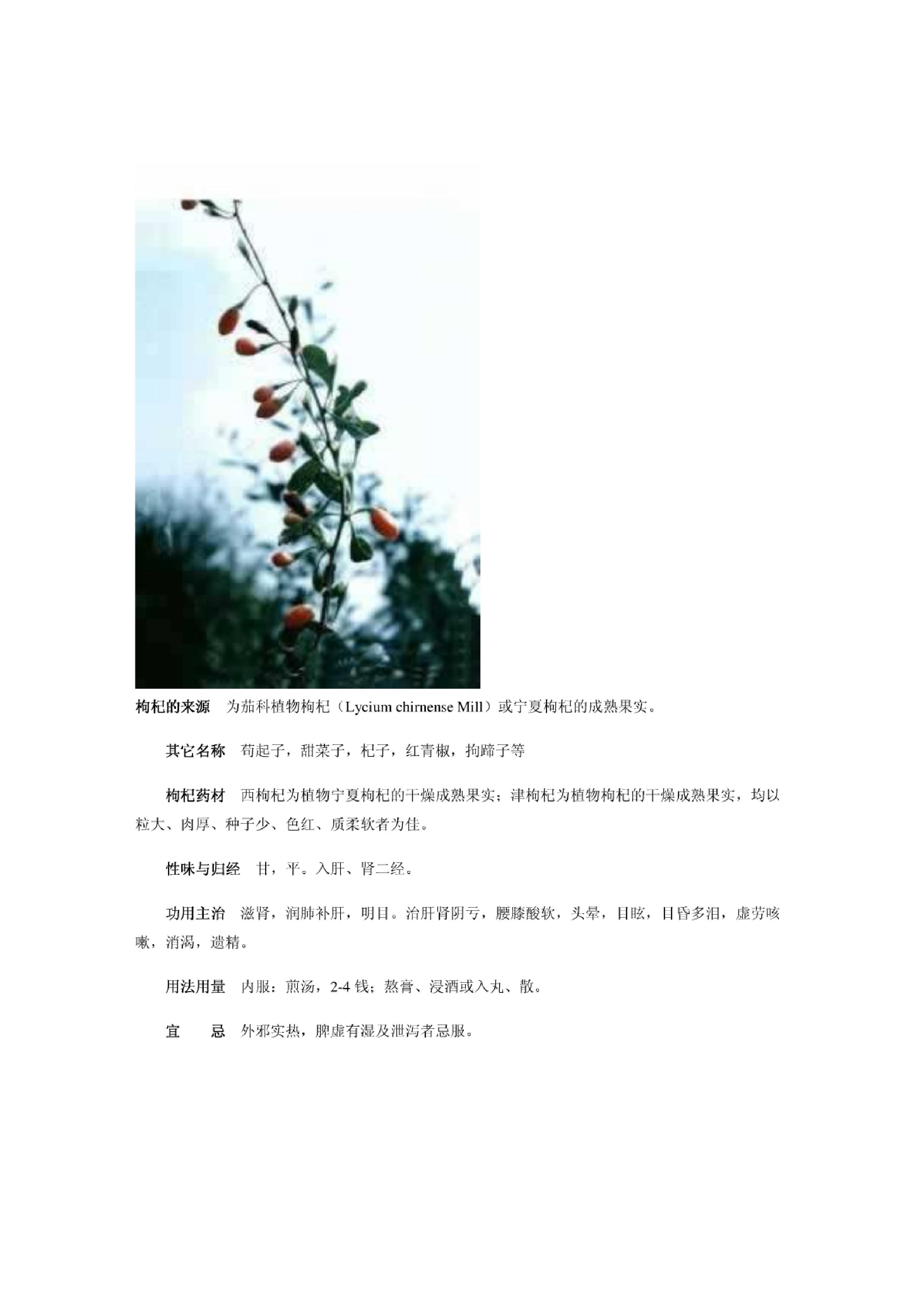 中医古籍-中草药图谱大全.pdf_第13页