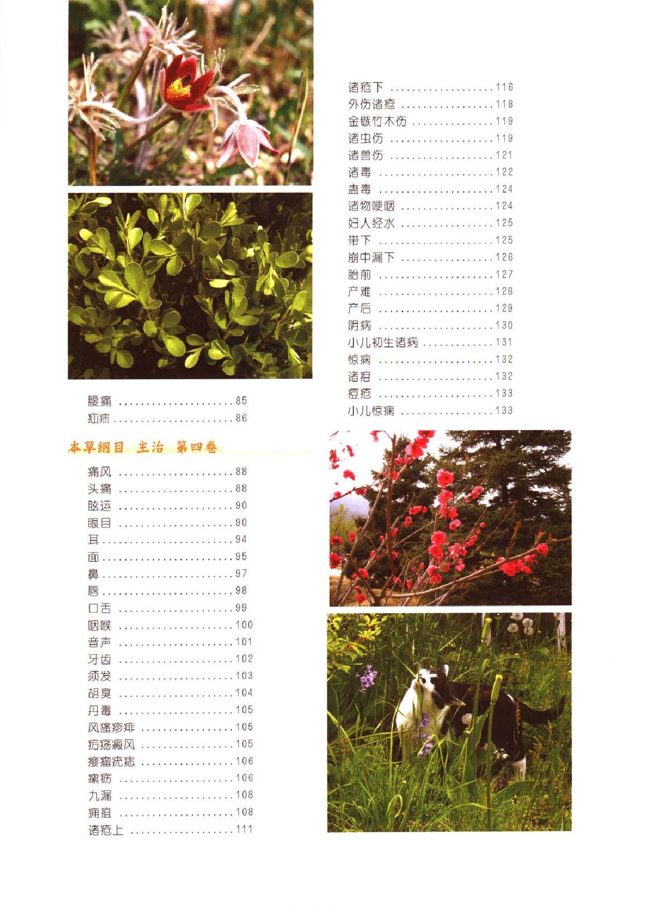 中医古籍-本草纲目-第二册.pdf_第6页