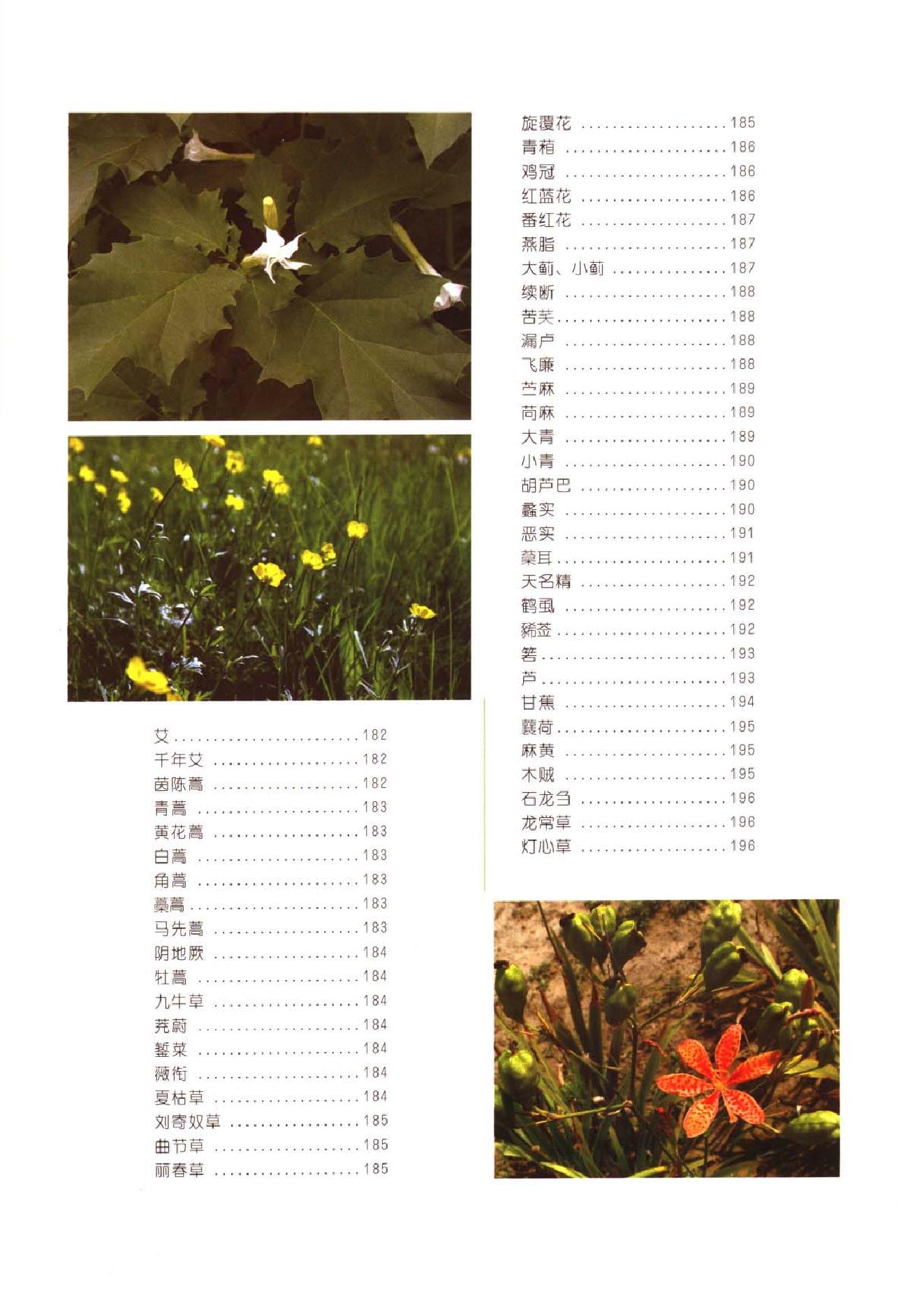 中医古籍-本草纲目-第二册.pdf_第11页