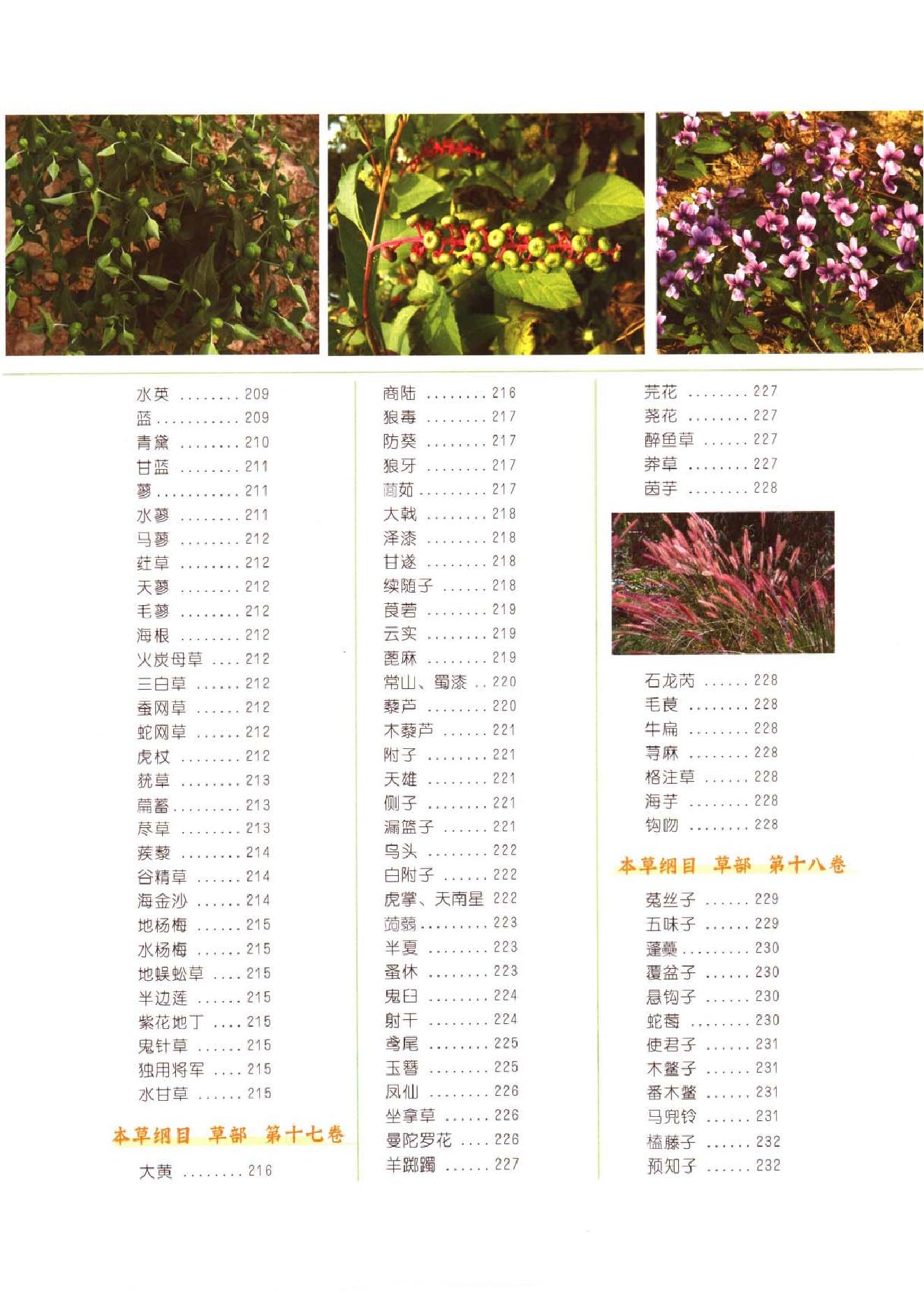 中医古籍-本草纲目-第二册.pdf_第13页