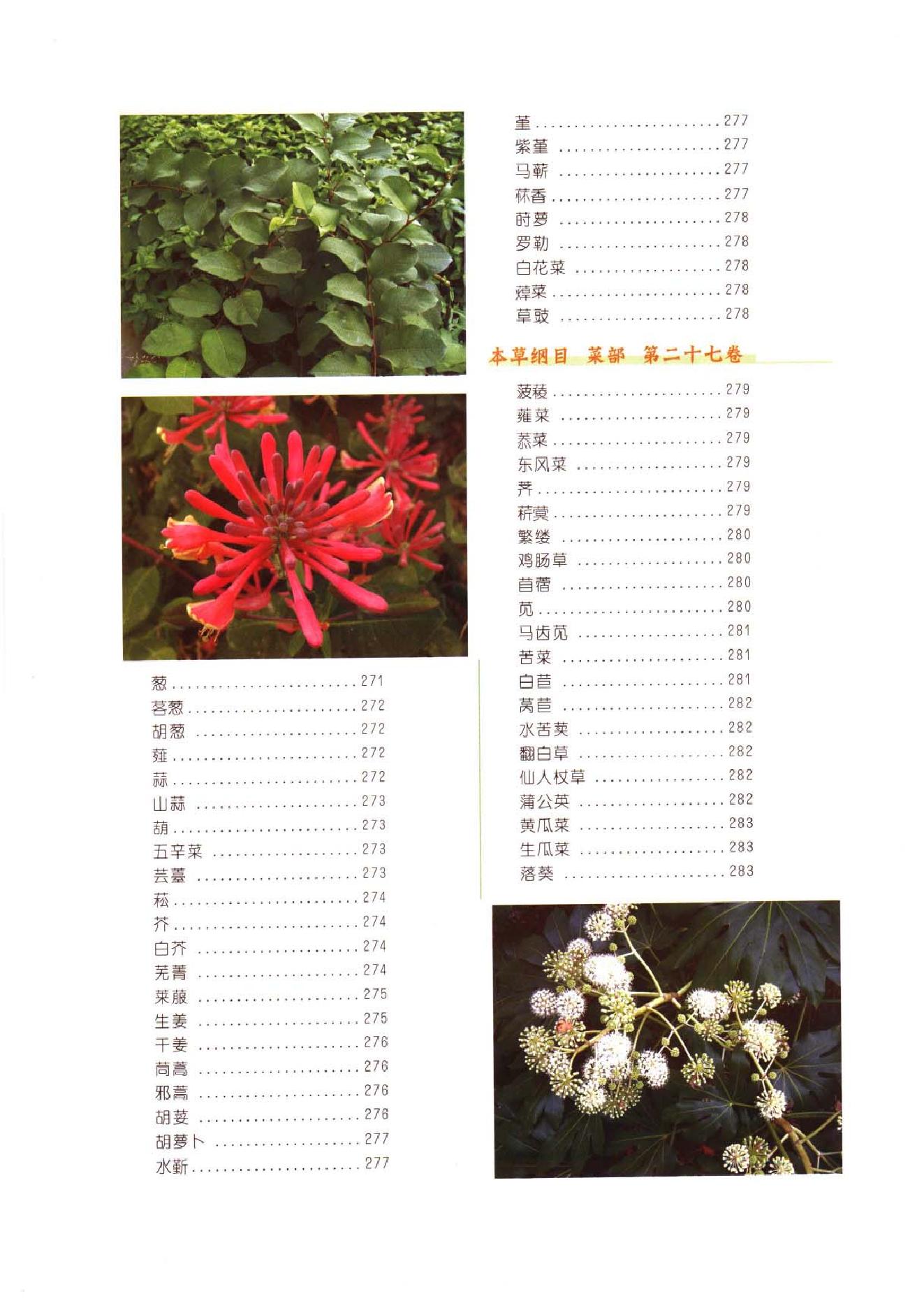 中医古籍-本草纲目-第二册.pdf_第17页