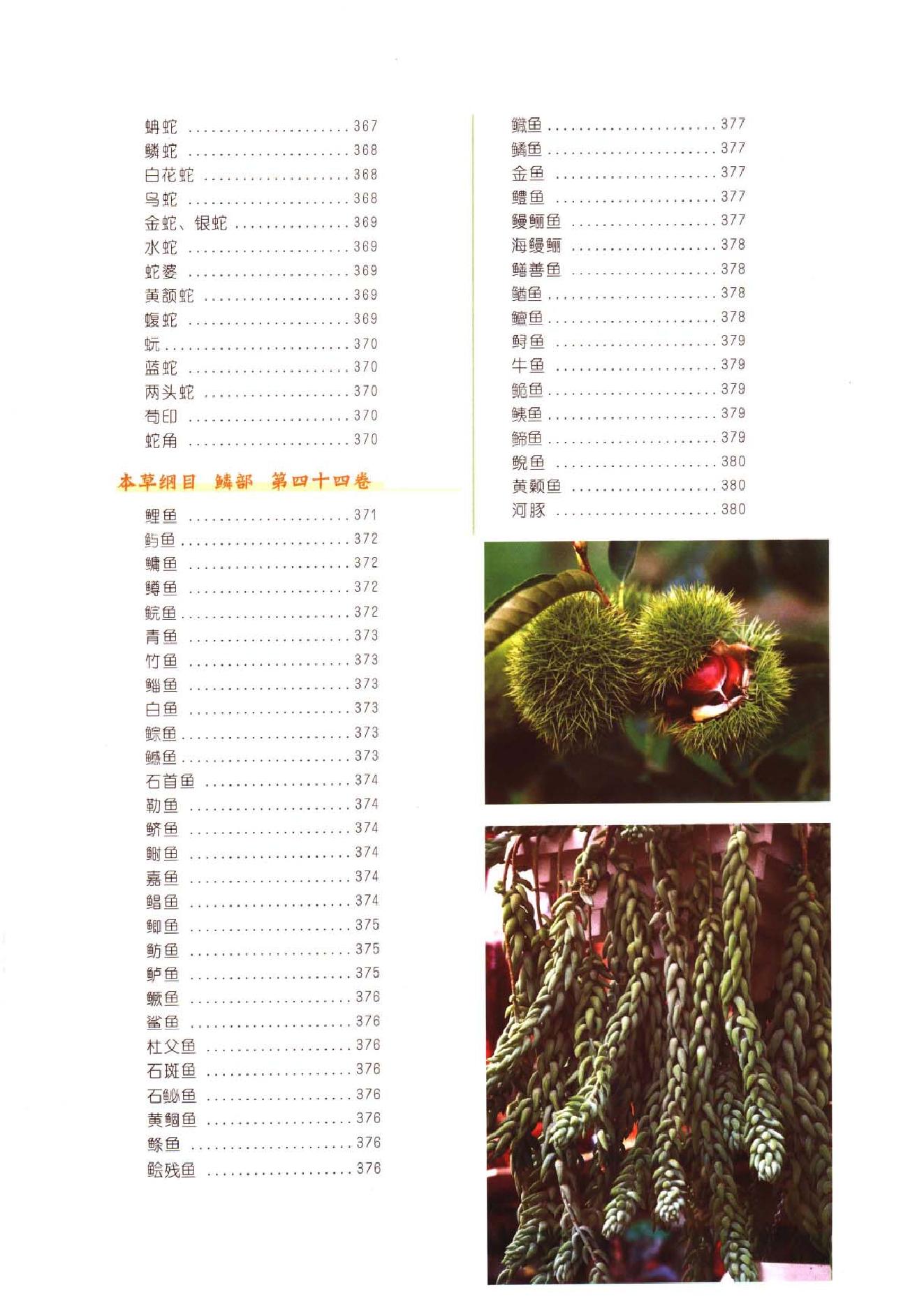 中医古籍-本草纲目-第二册.pdf_第25页