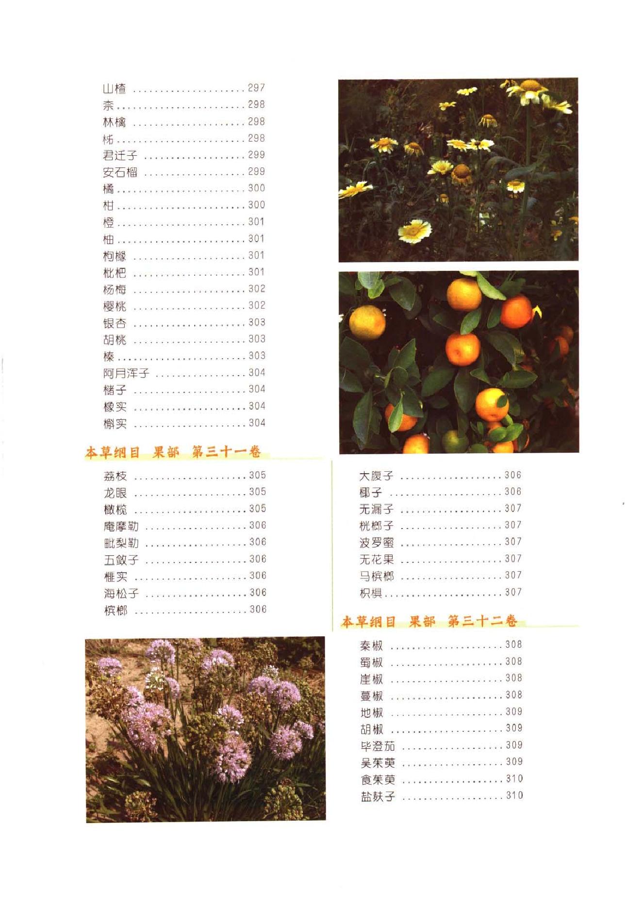 中医古籍-本草纲目-第二册.pdf_第19页