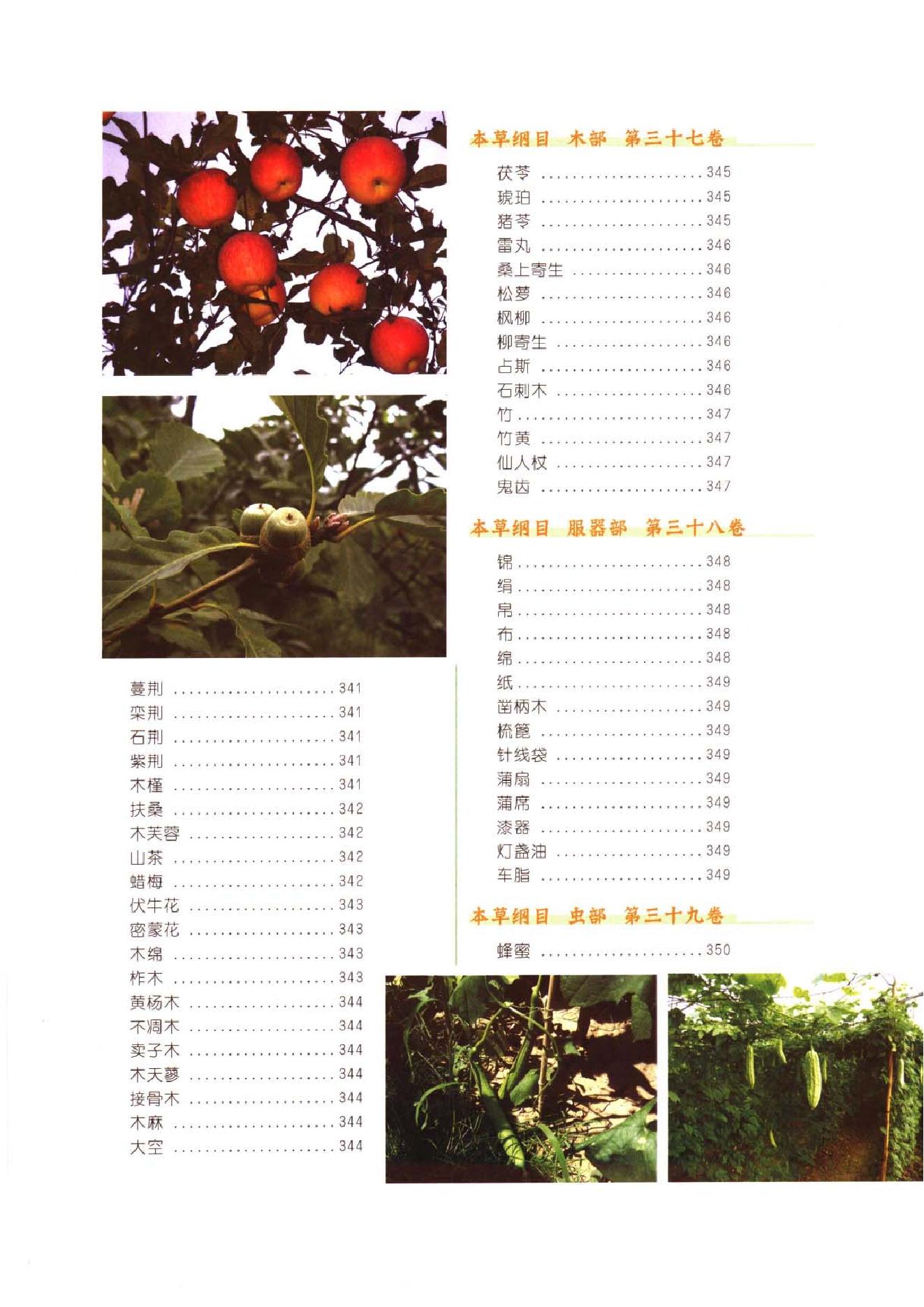 中医古籍-本草纲目-第二册.pdf_第22页