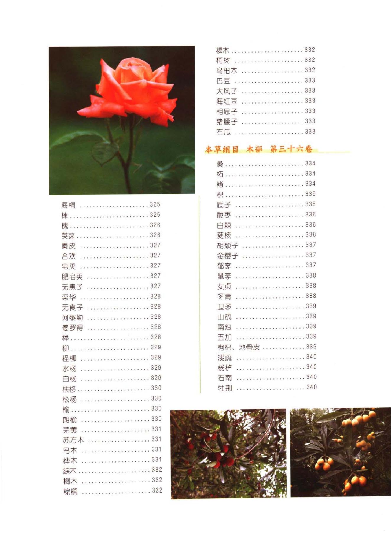 中医古籍-本草纲目-第二册.pdf_第21页