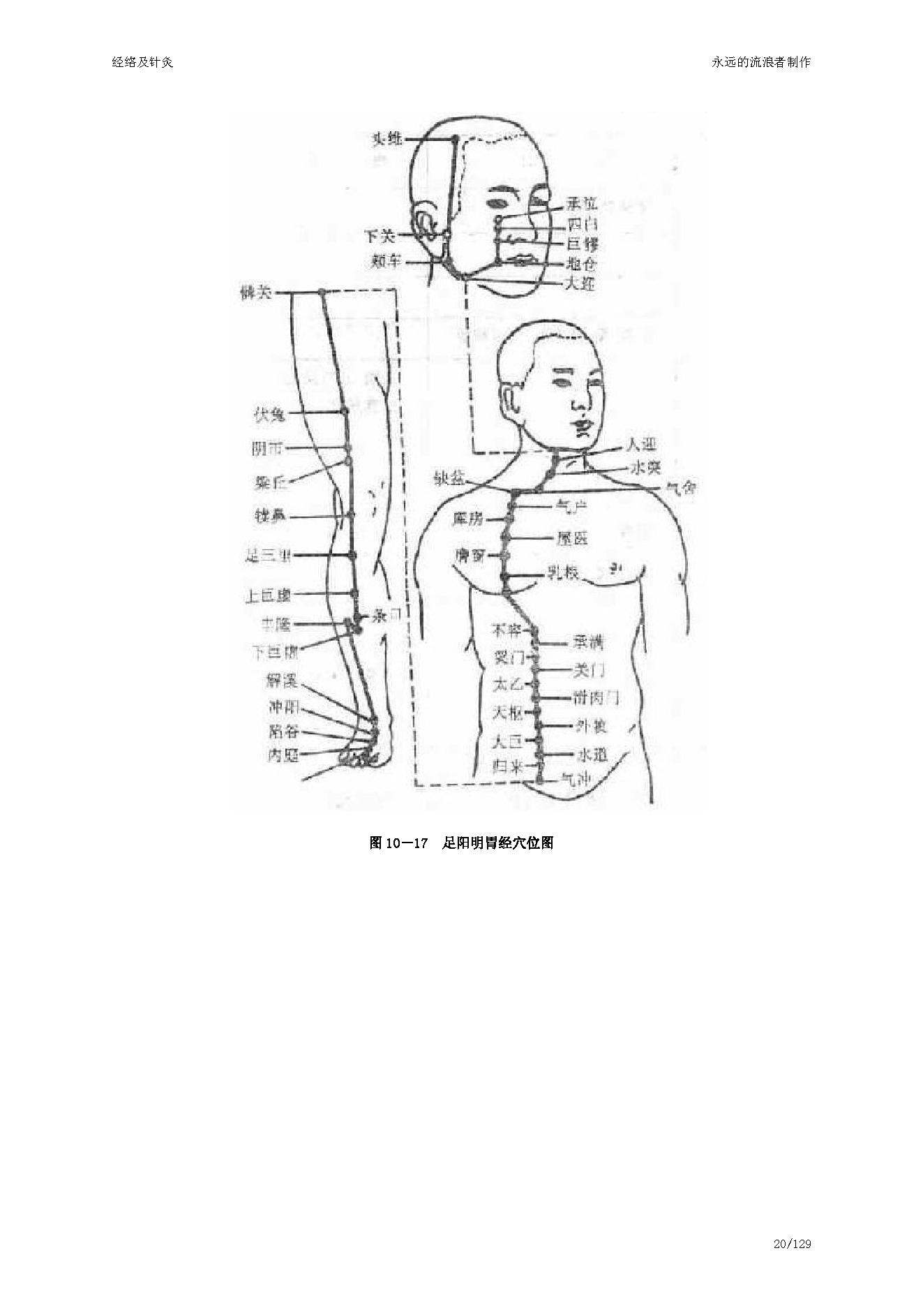 中医古籍-经络及针灸.pdf_第20页