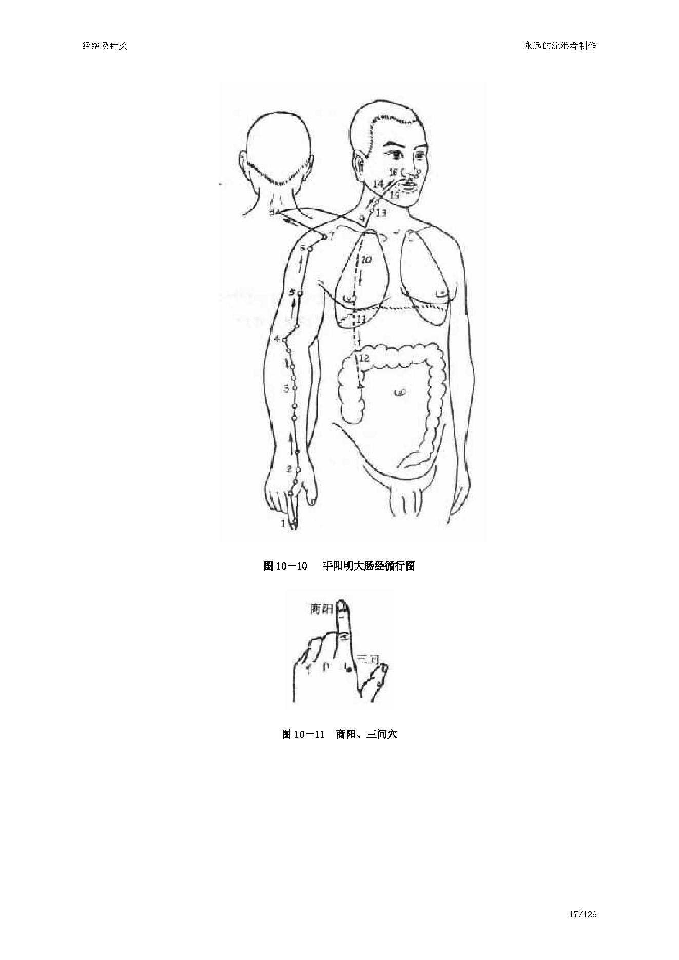 中医古籍-经络及针灸.pdf_第17页