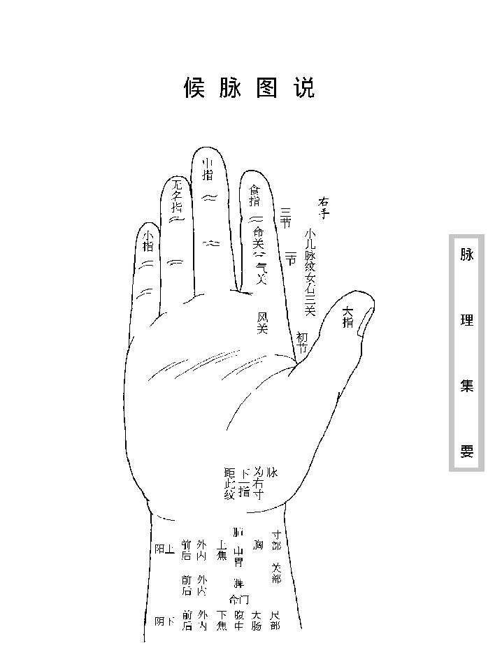 中医古籍珍稀抄本精选--脉理集要.pdf_第12页