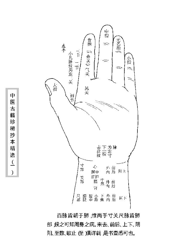 中医古籍珍稀抄本精选--脉理集要.pdf_第13页