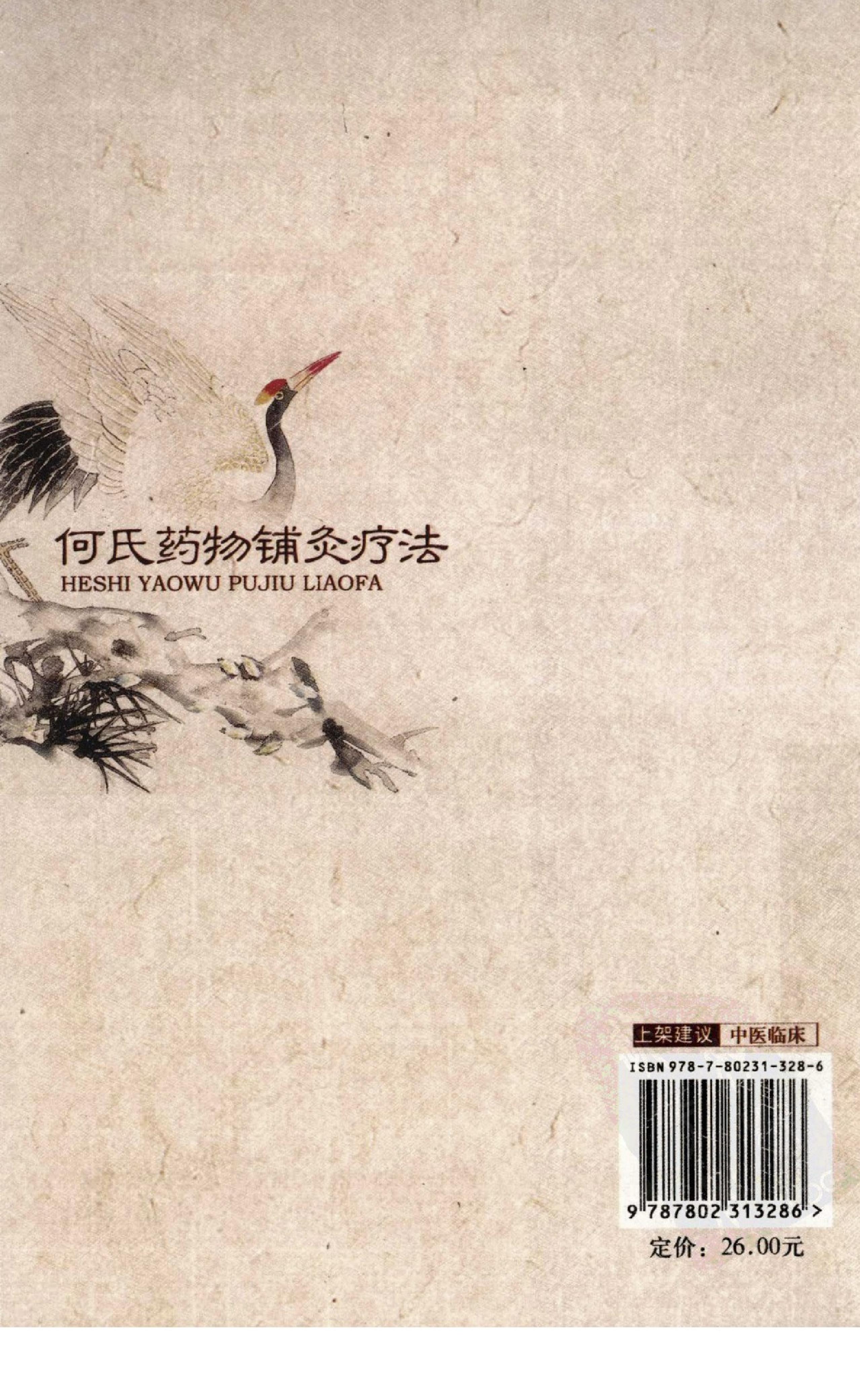 何氏药物铺灸疗法_何天有2010.pdf_第2页