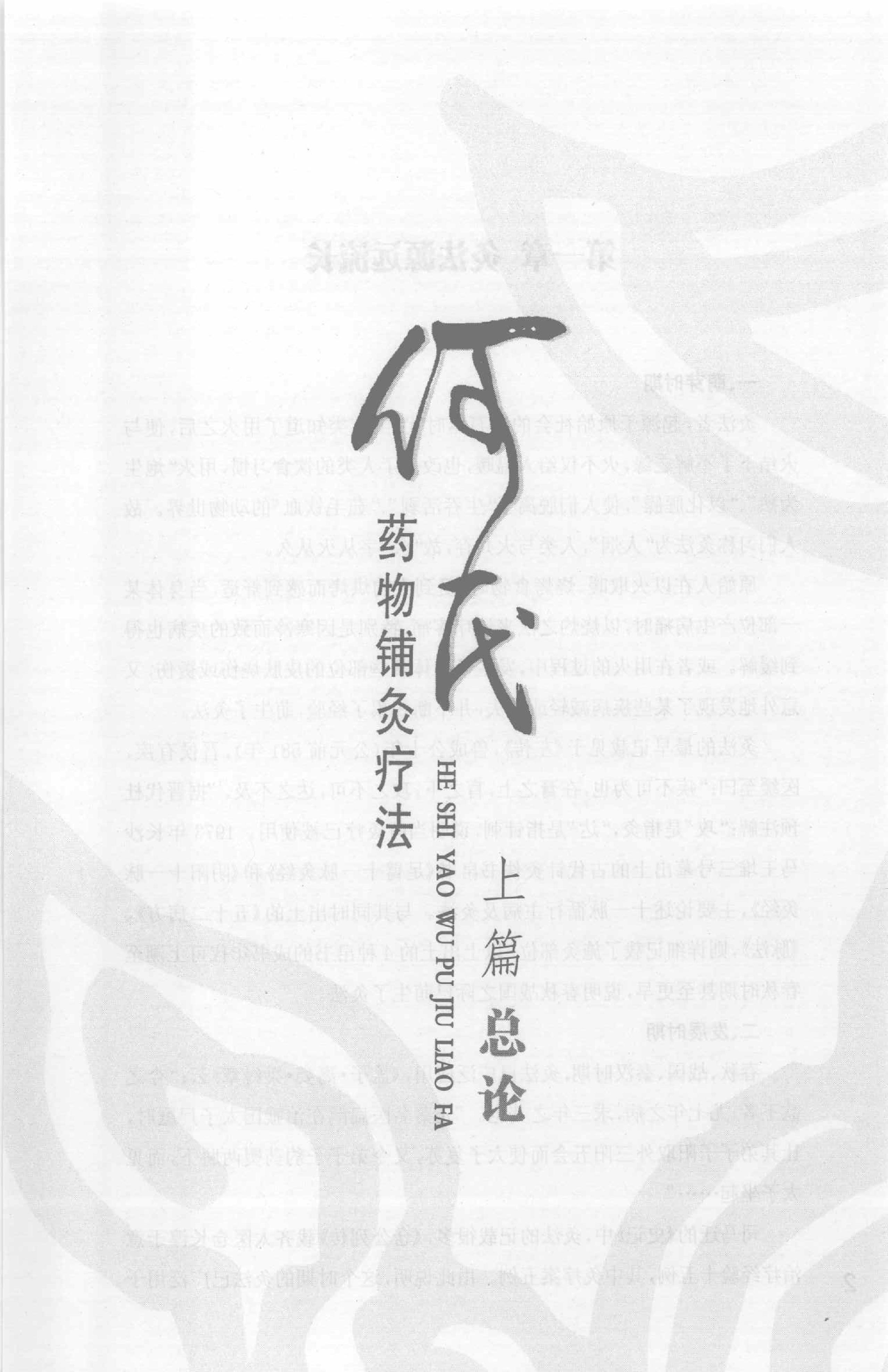 何氏药物铺灸疗法_何天有2010.pdf_第17页