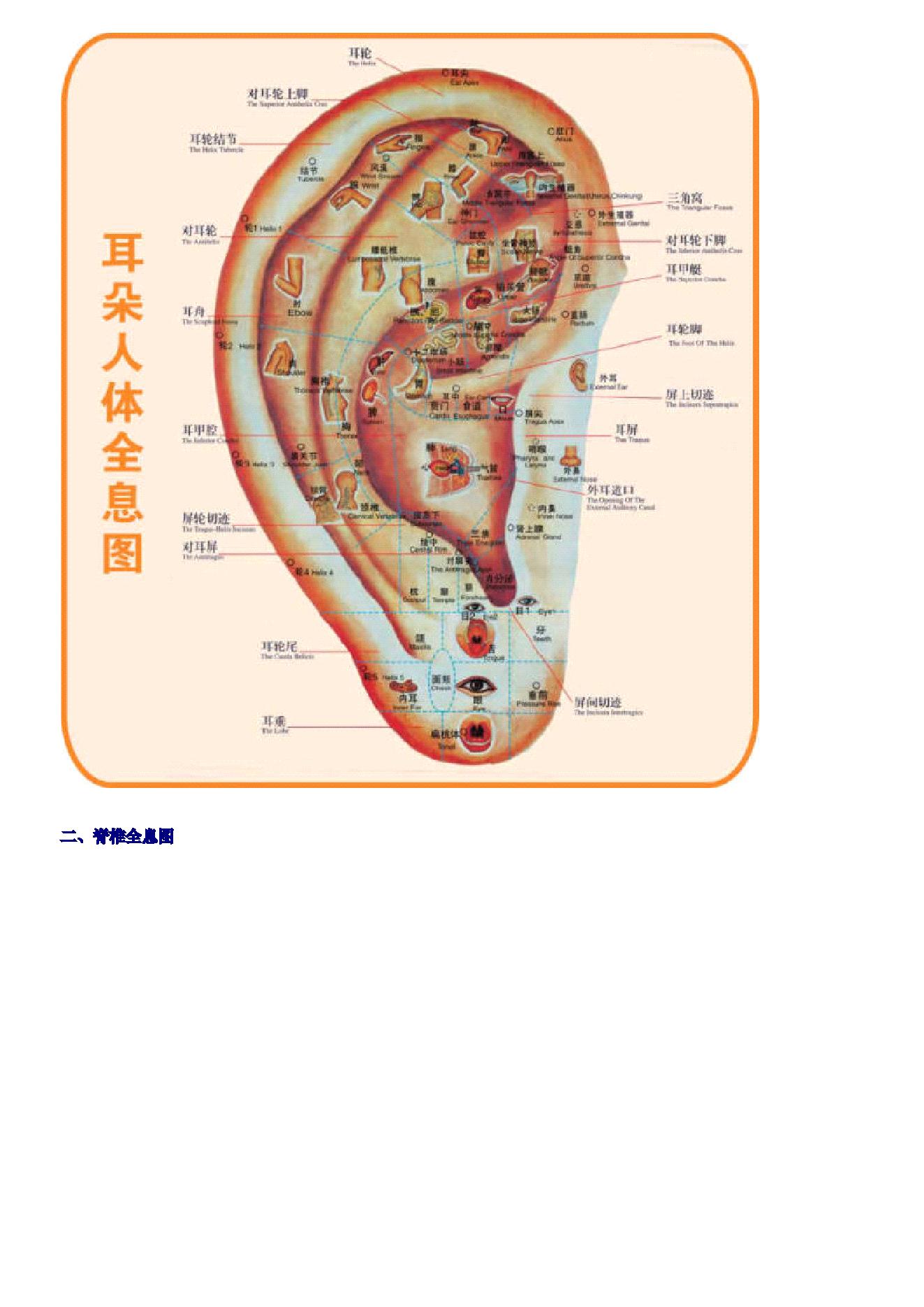 古籍书本[珍藏版]-人体按摩穴位示意图（超详细，超清晰，留存备用）.pdf_第3页