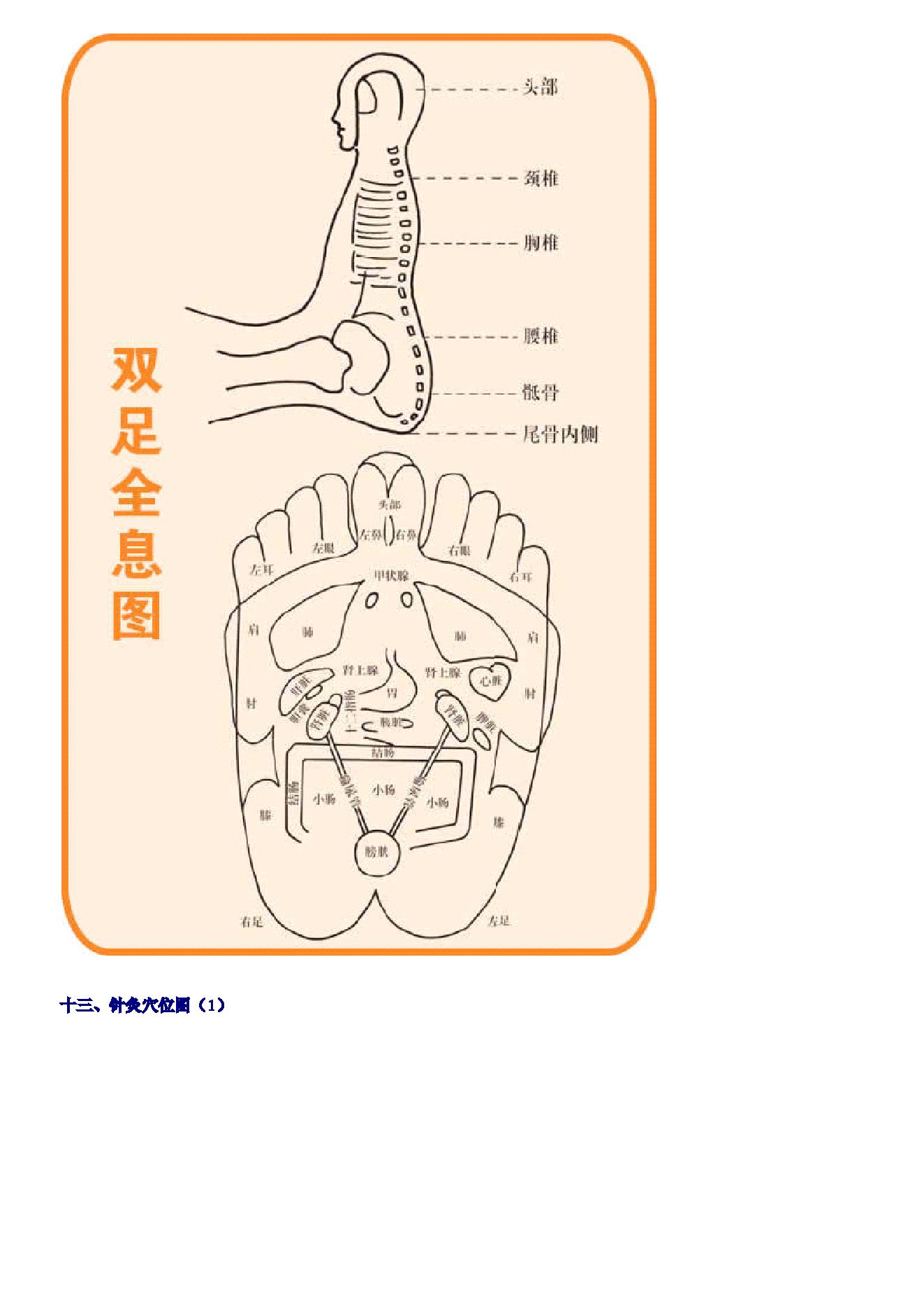 古籍书本[珍藏版]-人体按摩穴位示意图（超详细，超清晰，留存备用）.pdf_第13页