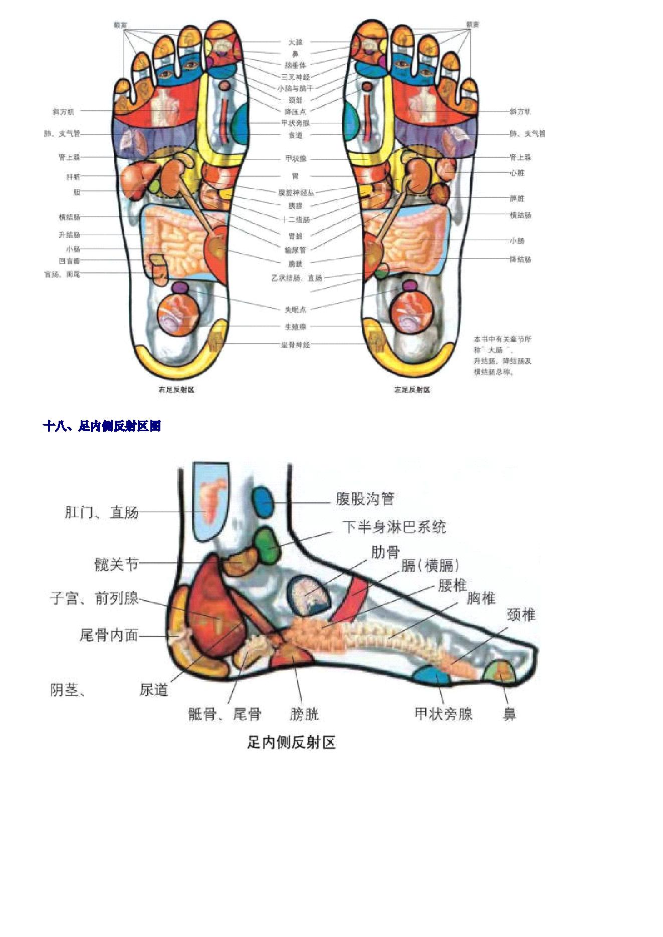 古籍书本[珍藏版]-人体按摩穴位示意图（超详细，超清晰，留存备用）.pdf_第20页