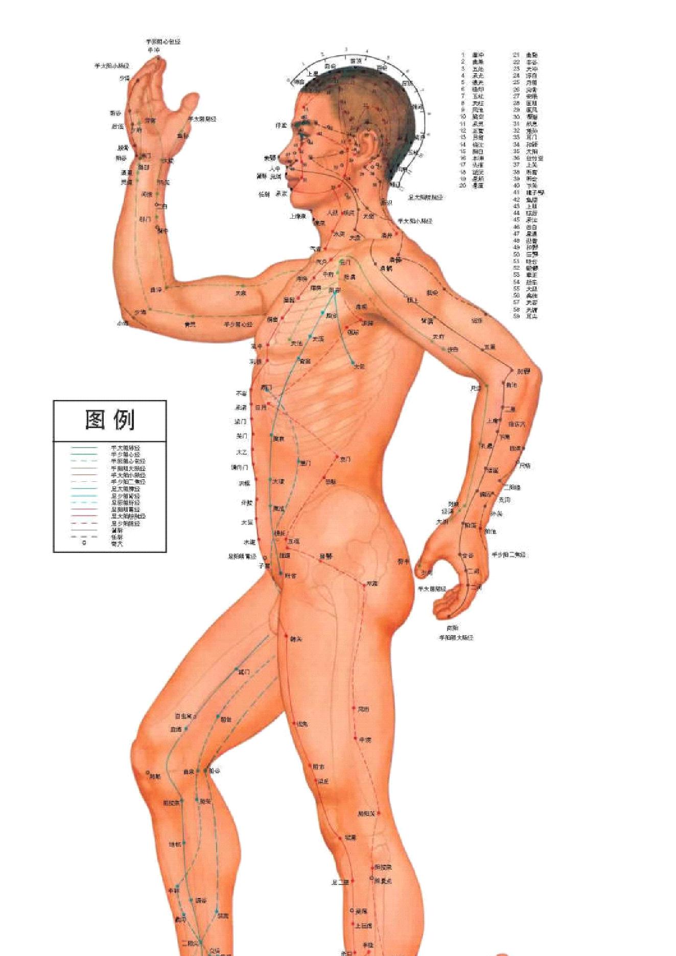 古籍书本[珍藏版]-人体按摩穴位示意图（超详细，超清晰，留存备用）.pdf_第18页