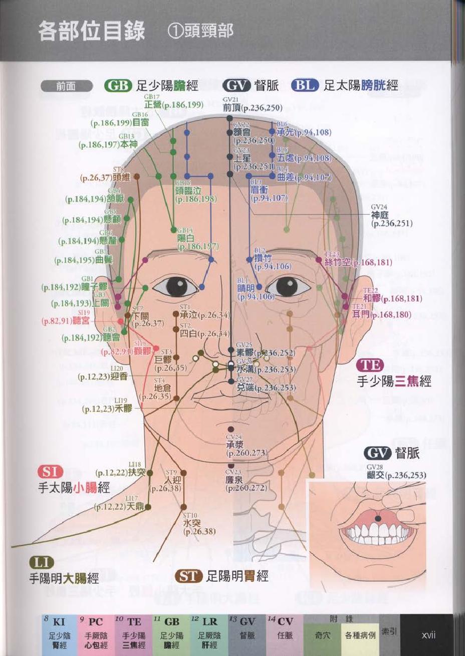 经穴大全超科学3D经穴解剖全书--台版-01.pdf_第19页