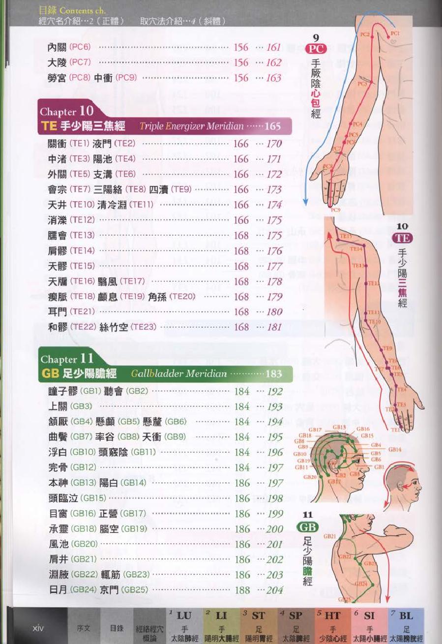 经穴大全超科学3D经穴解剖全书--台版-01.pdf_第16页