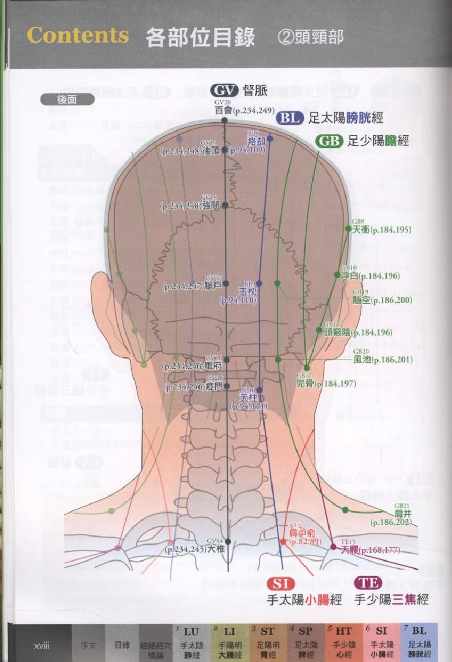 经穴大全超科学3D经穴解剖全书--台版-01.pdf_第20页