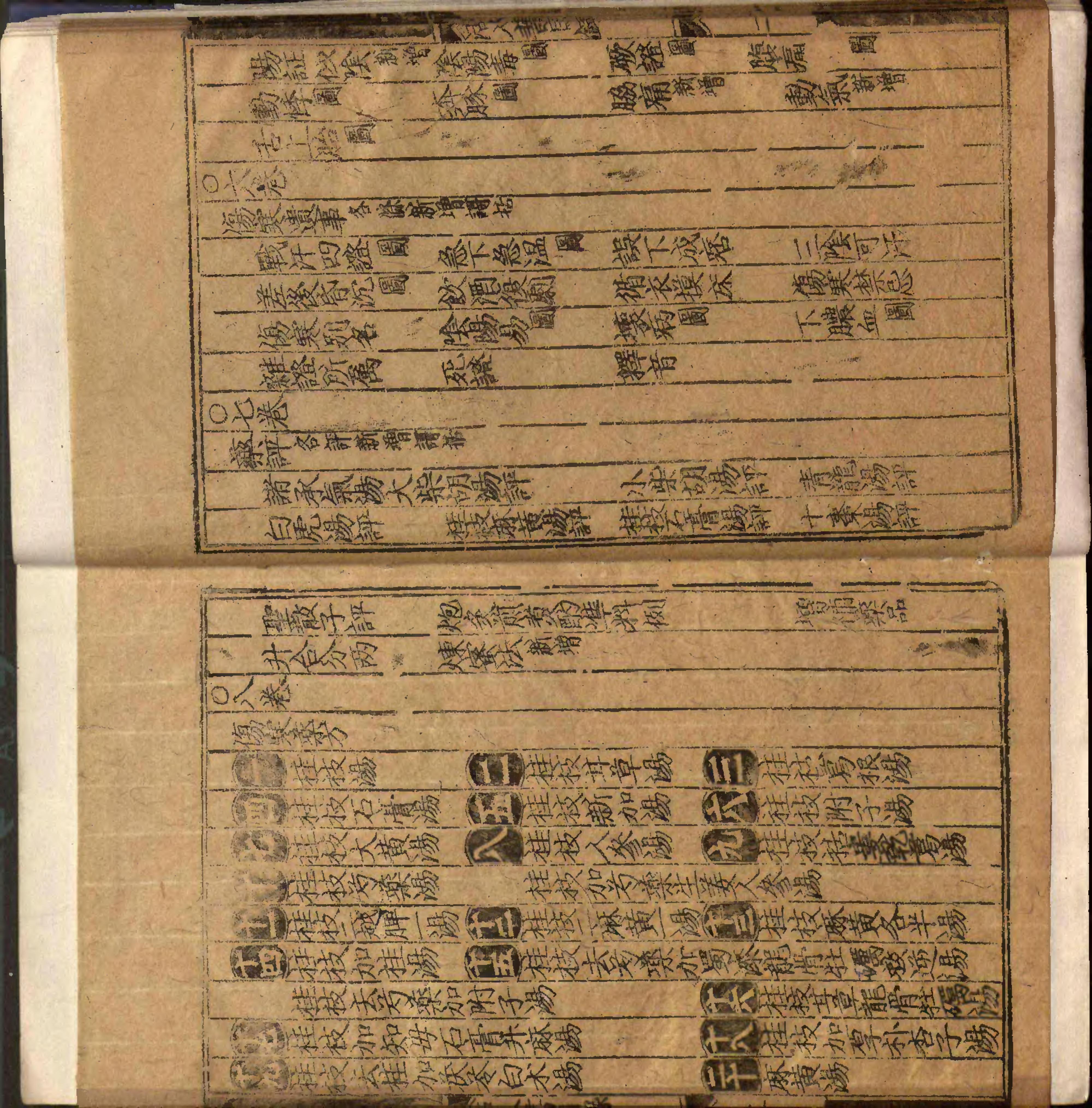 類編傷寒活人書括指掌圖論九卷首一卷續一卷-第001冊.pdf_第8页