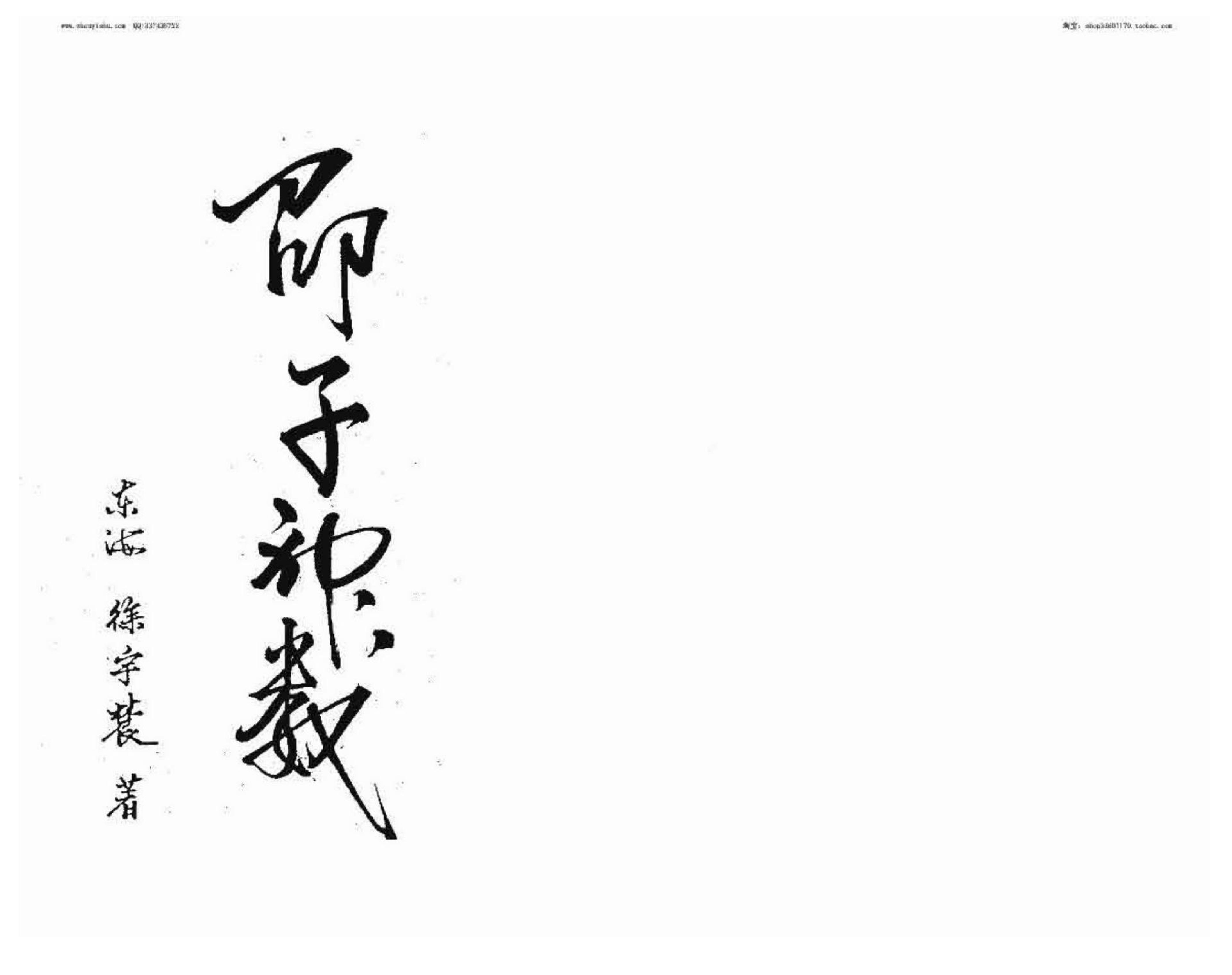 徐宇辳-邵子神数.pdf_第2页