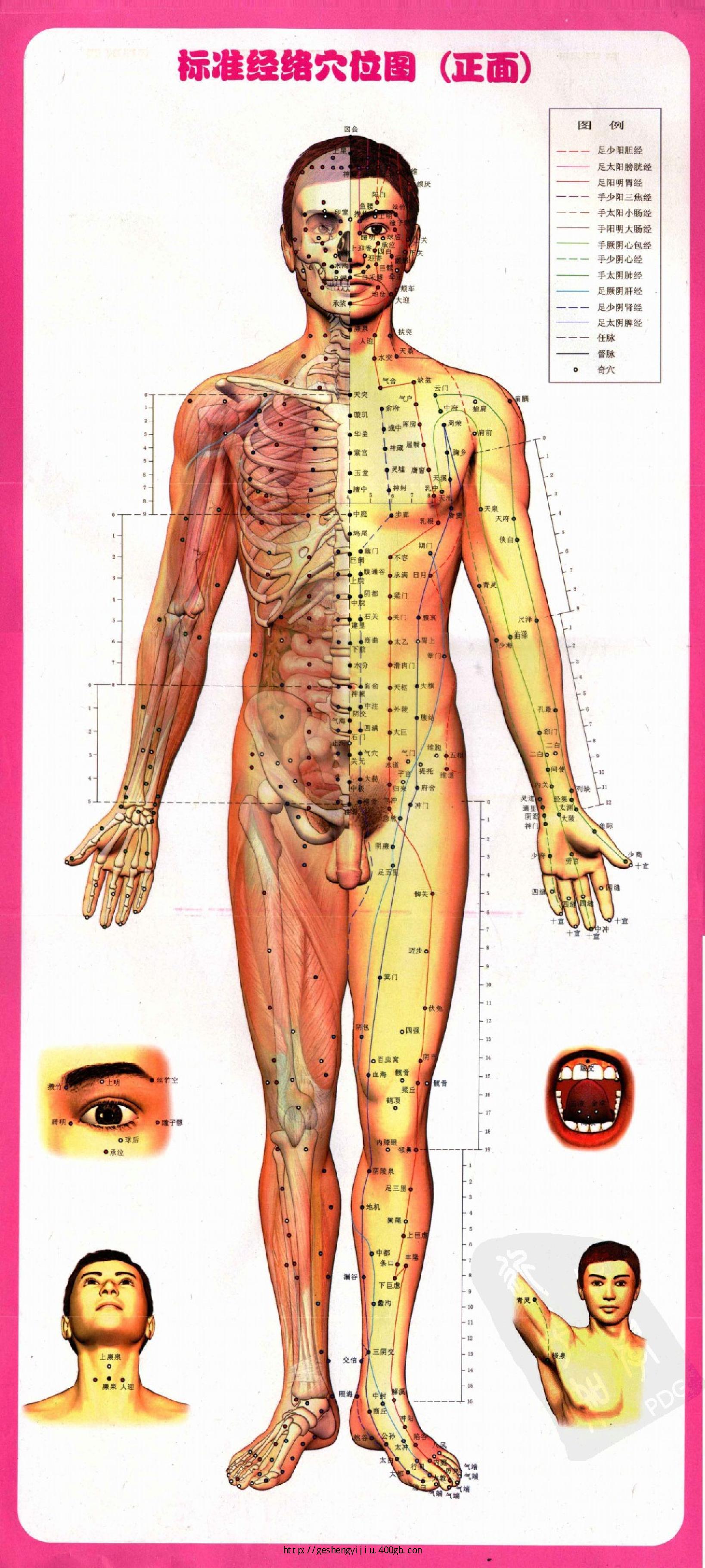 徒手按揉健康法.pdf_第7页