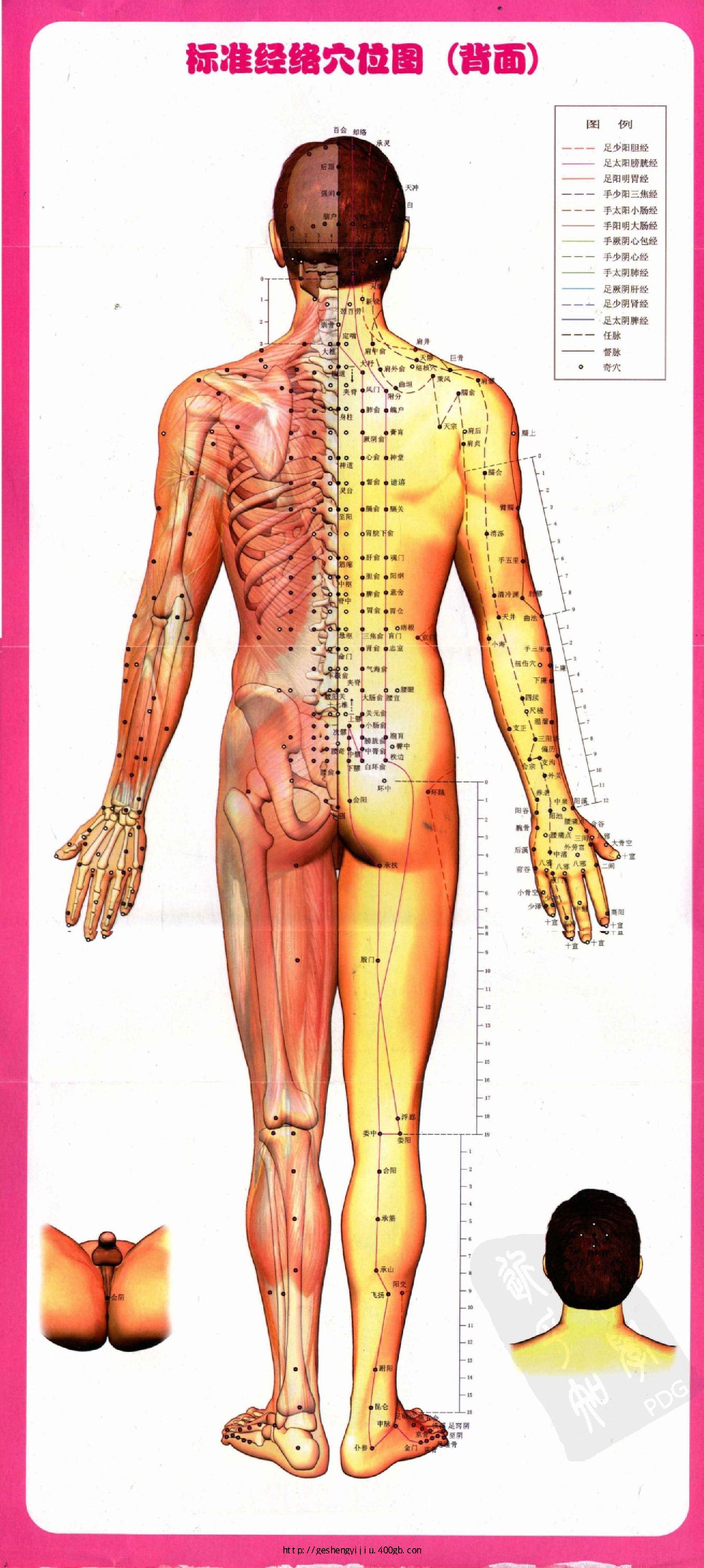 徒手按揉健康法.pdf_第8页