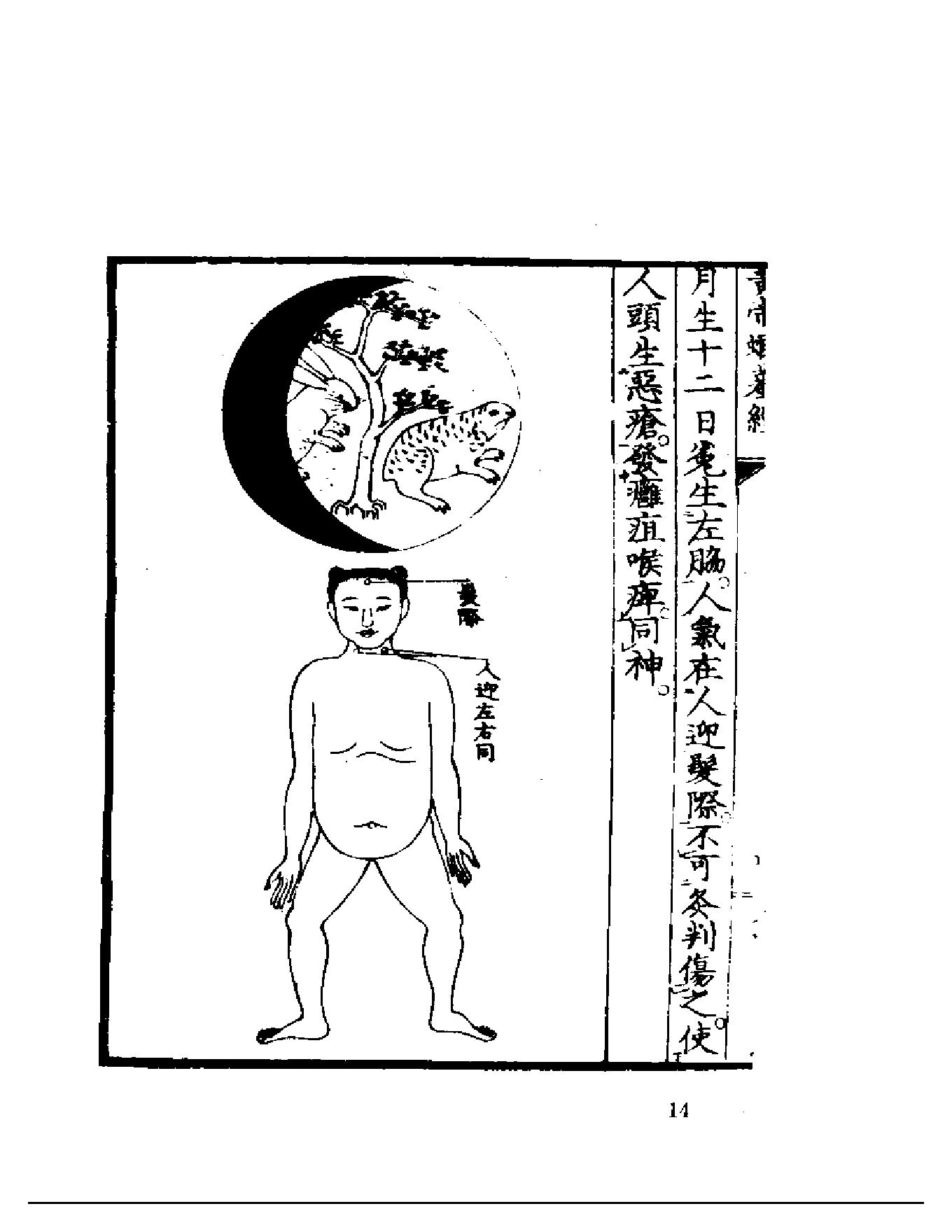 黄帝虾蟆经1984.01.pdf_第14页