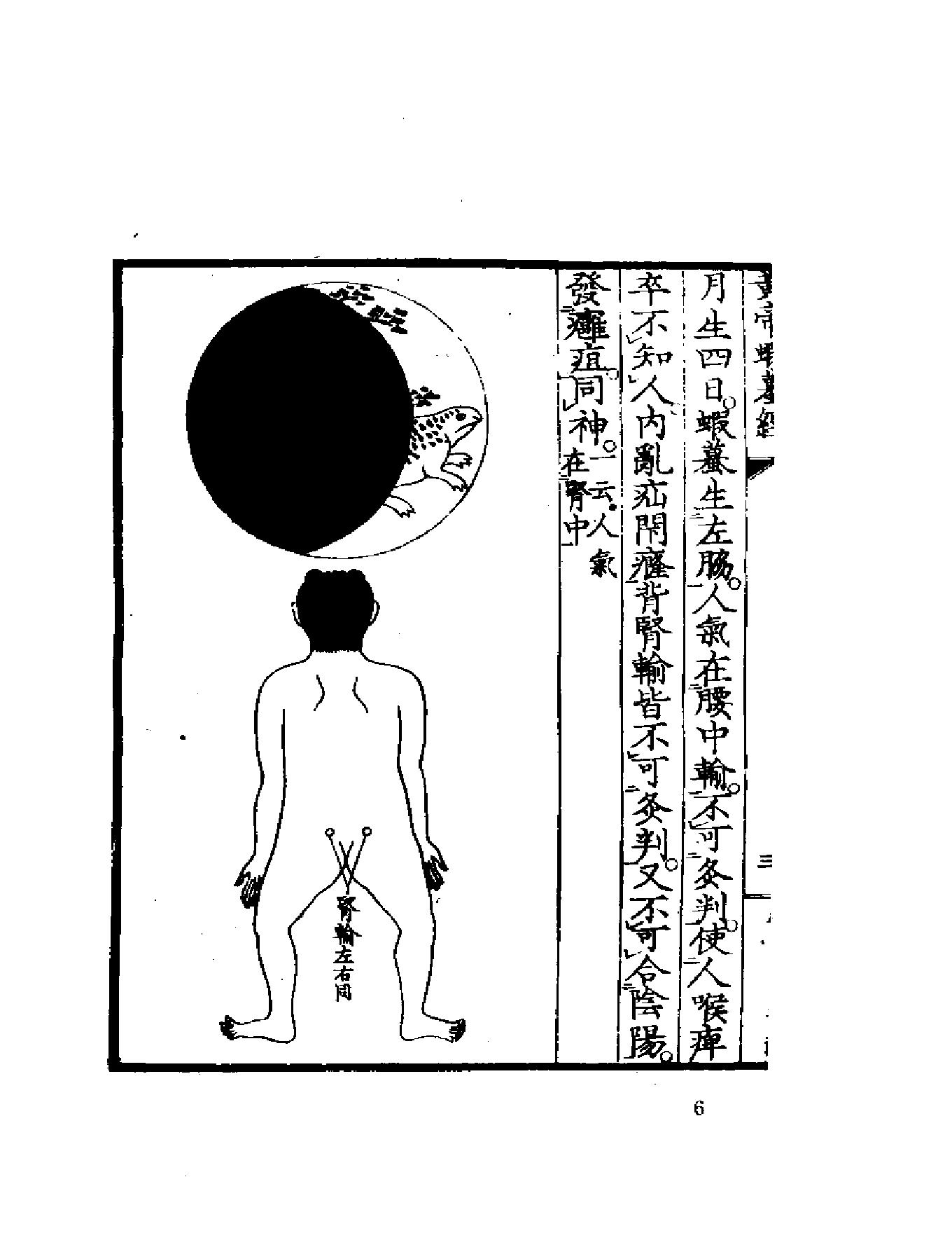 黄帝虾蟆经1984.01.pdf_第6页