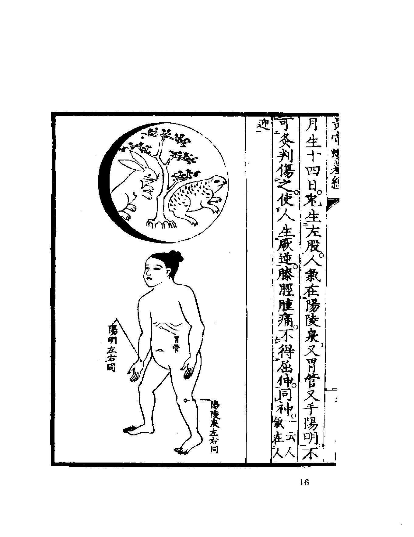 黄帝虾蟆经1984.01.pdf_第16页