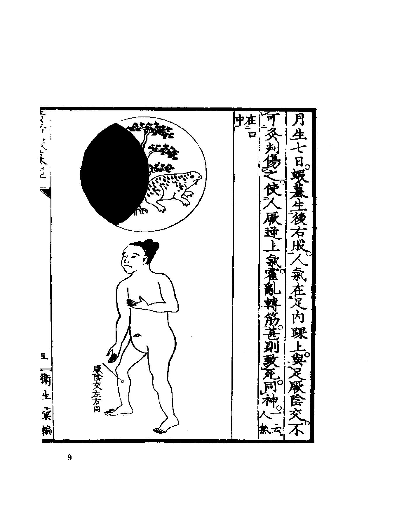 黄帝虾蟆经1984.01.pdf_第9页