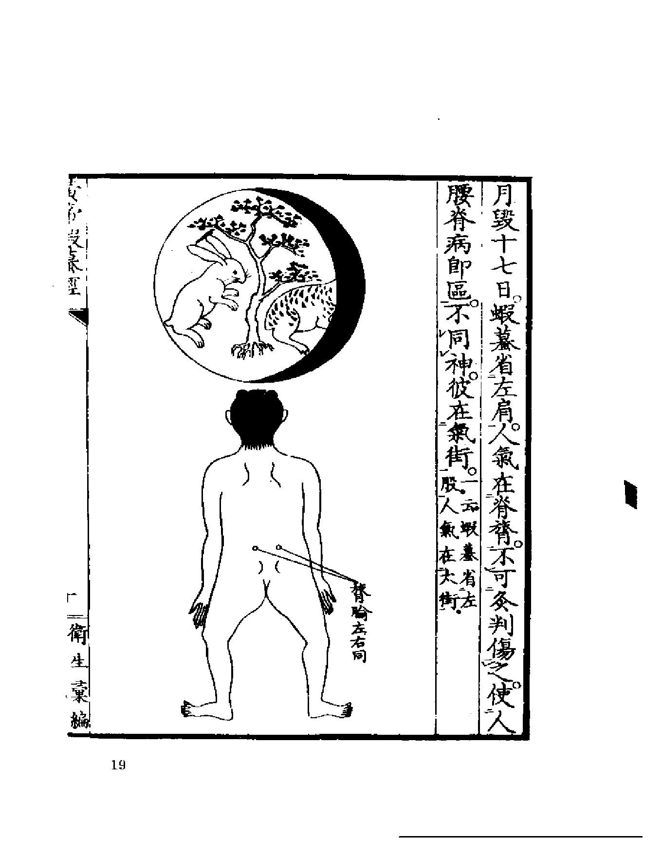 黄帝虾蟆经1984.01.pdf_第19页