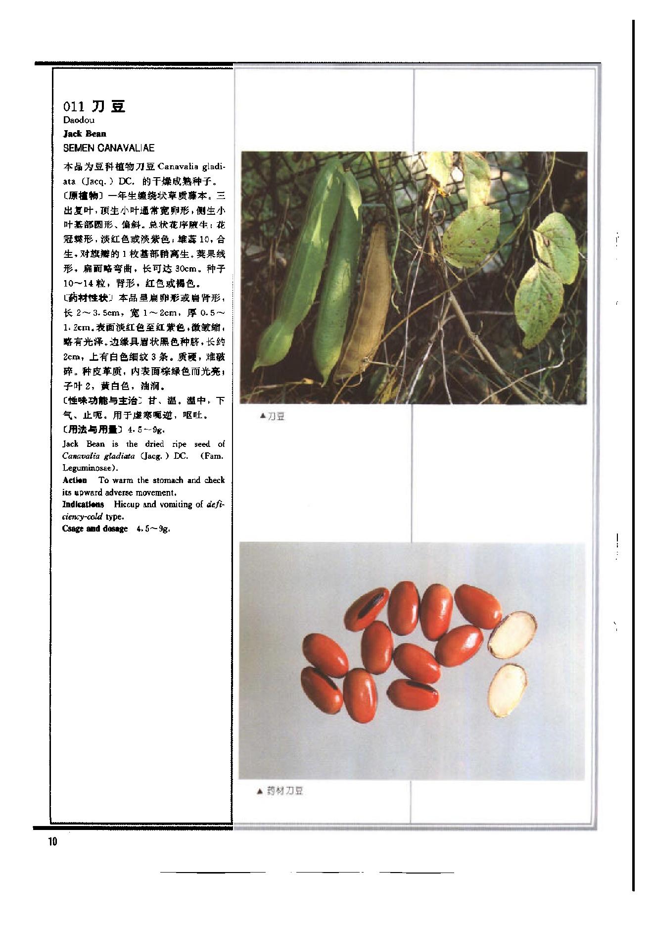 1995年中药典彩色图谱.pdf_第15页