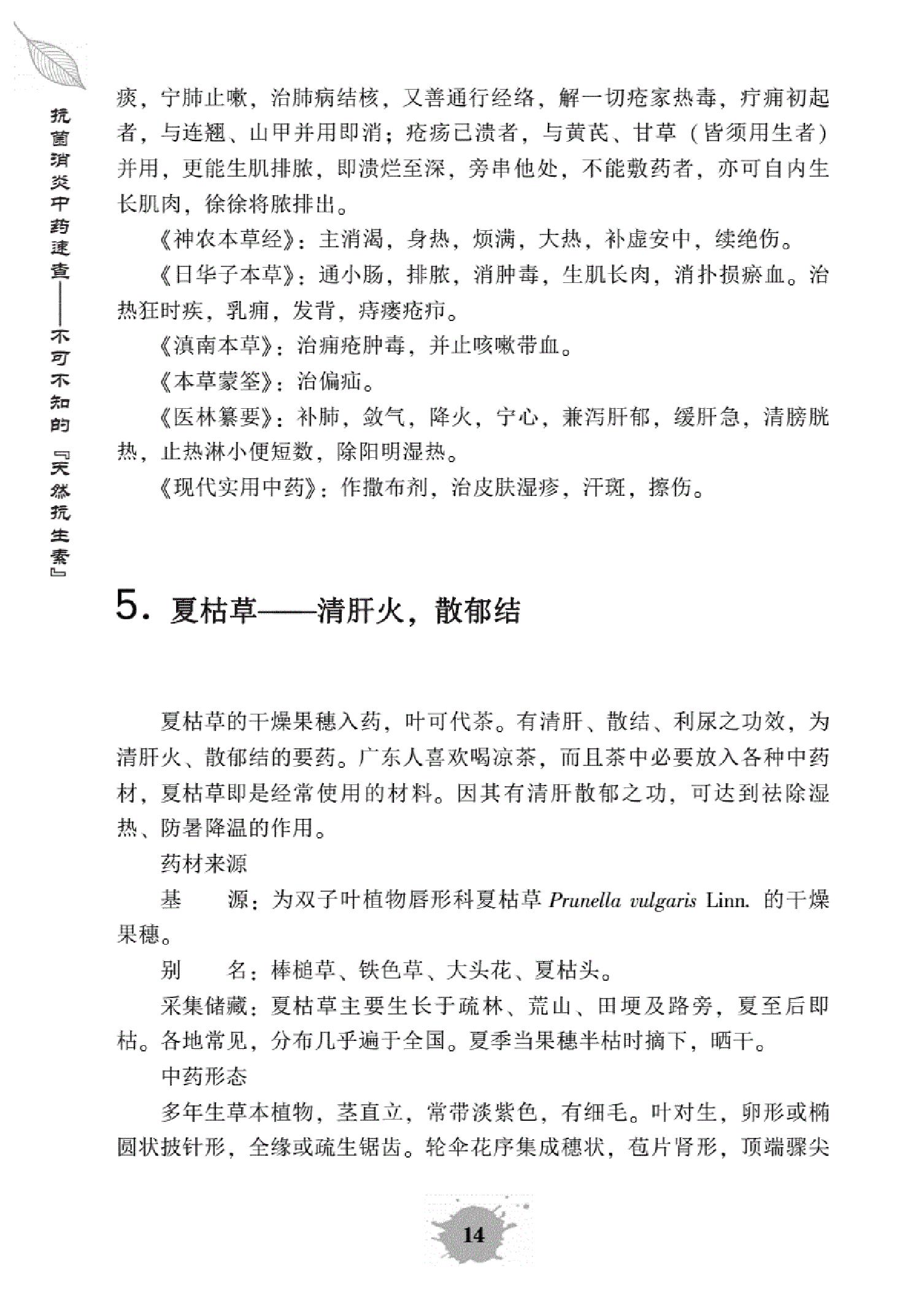 抗菌消炎中药速查.pdf_第24页